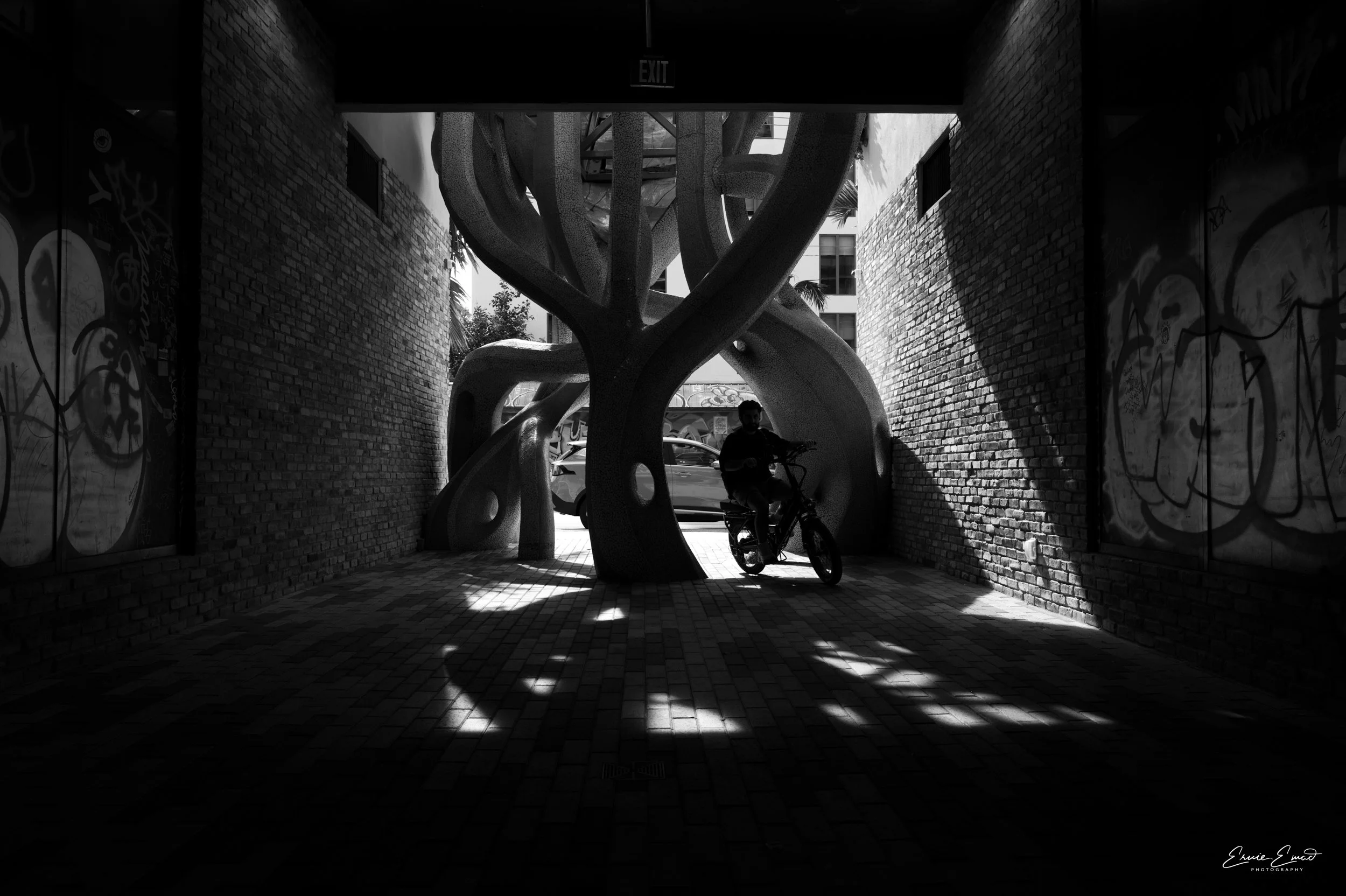 Riding a bike through a shadow at Society Wynwood Miami