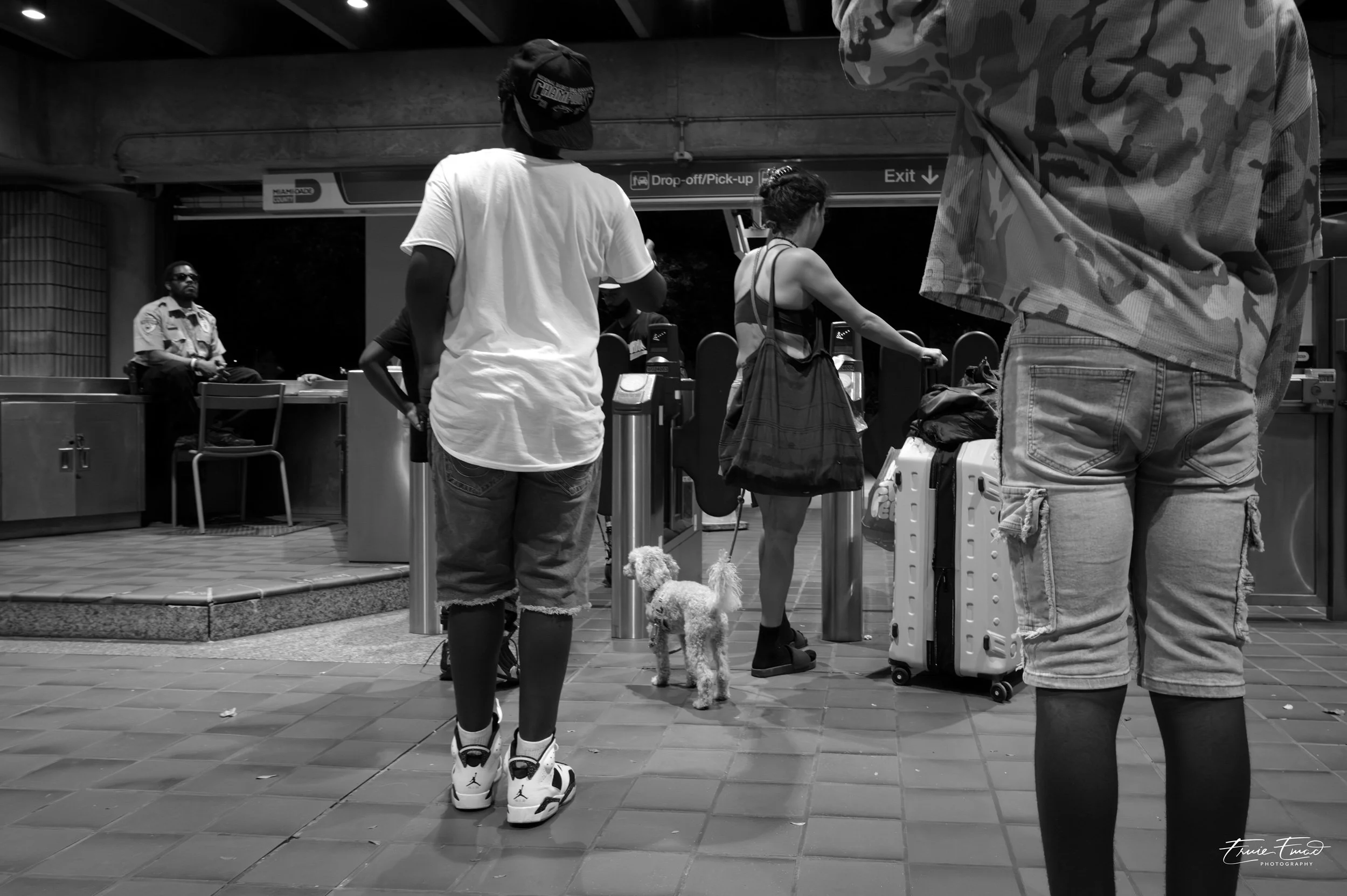 People waiting in line at an airport check-in area with luggage and a small dog, black and white photograph.
