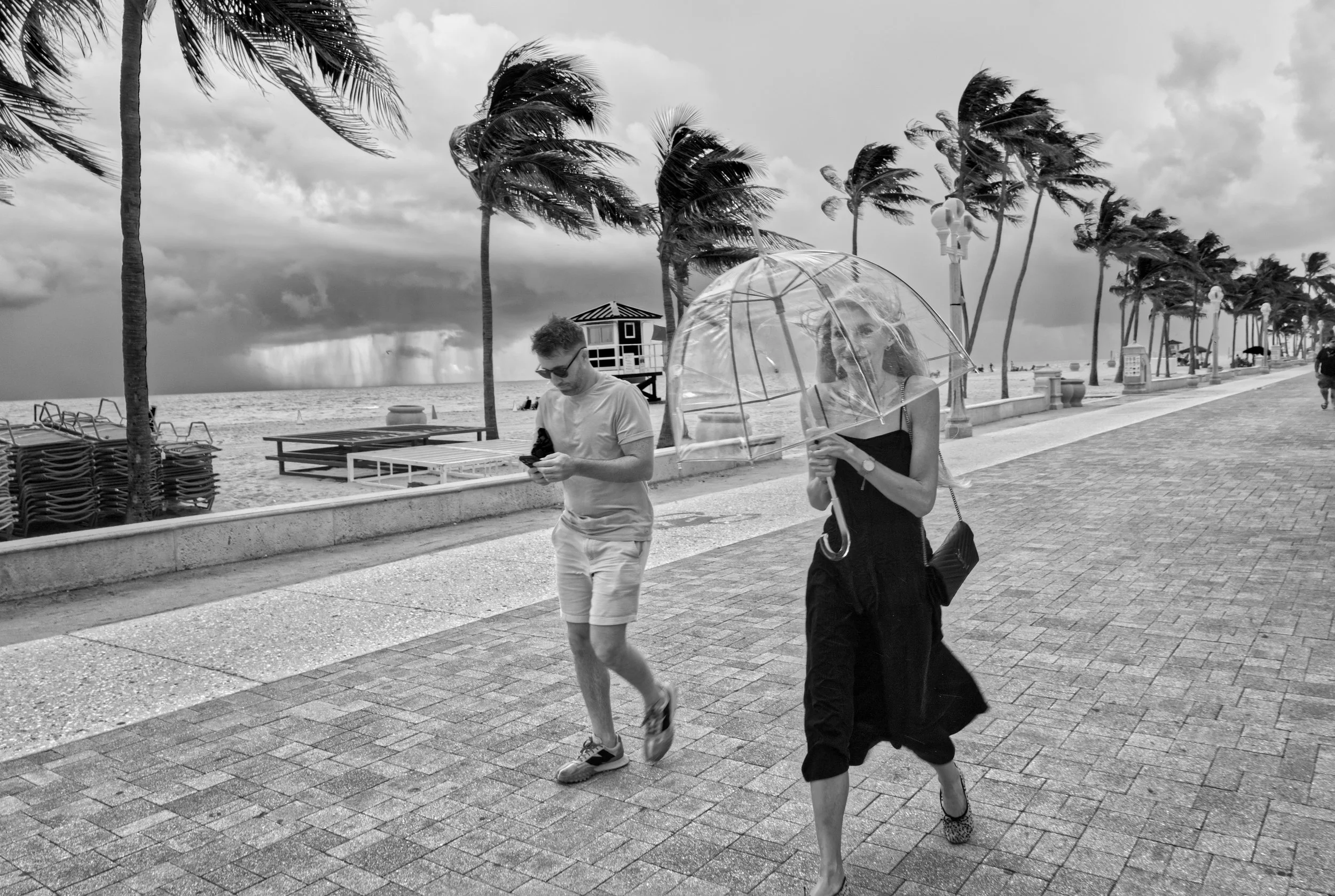 Two people walk along a paved seaside promenade on a windy day, with palm trees swaying and an overcast sky in the background. One woman holds a transparent umbrella and the man wears sunglasses and casual clothing.