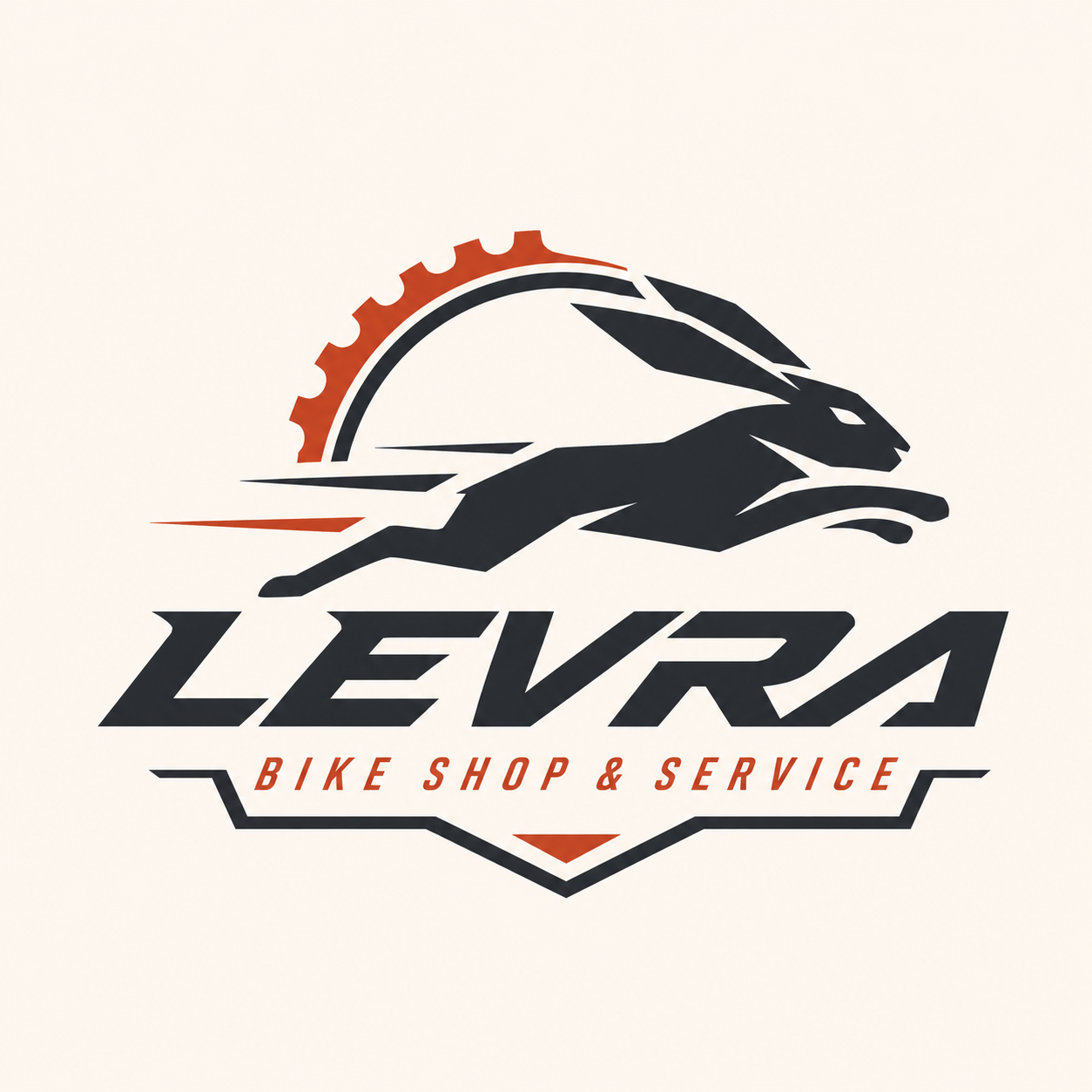 LEVRA BIKE SHOP and SERVICE