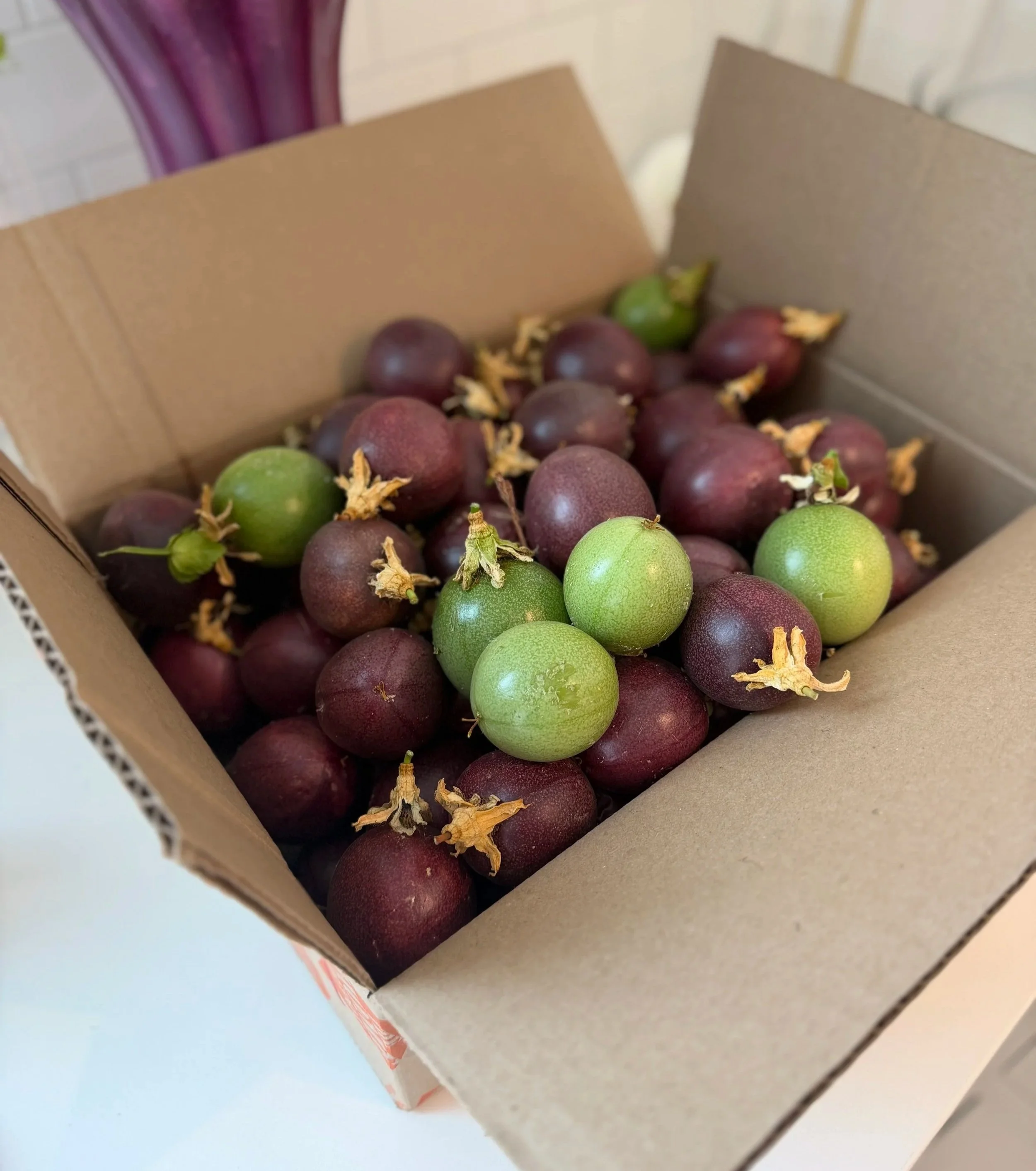 Cardboard box filled with ripe and ripening passionfruit from the garden