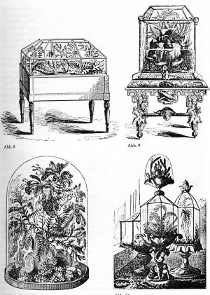 Four historical illustrations of Victorian Wardian cases featuring ornate glass enclosures, decorative stands, and plants.