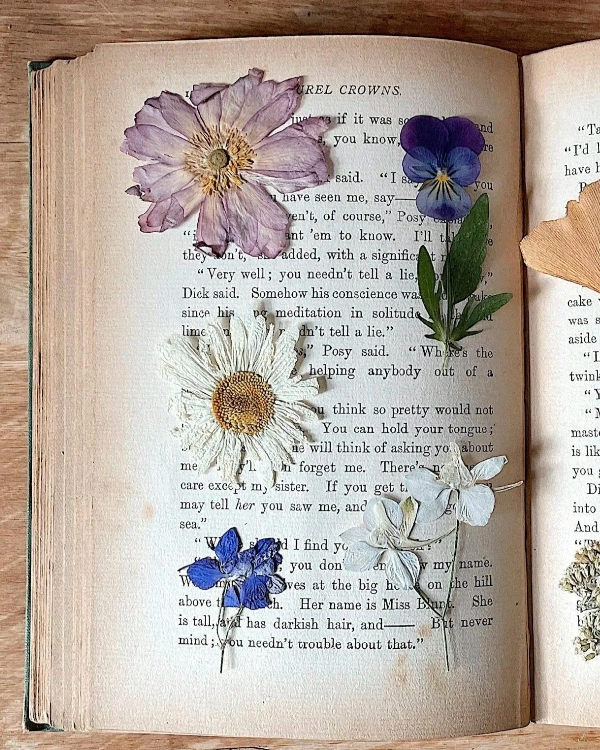Delicate pressed flowers resting between the pages of an open vintage book