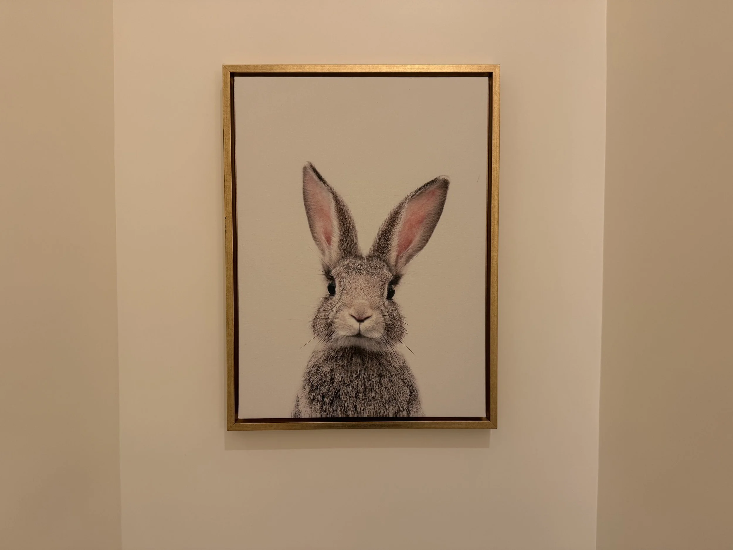 Framed portrait of a curious rabbit in a gold frame on a powder room wall