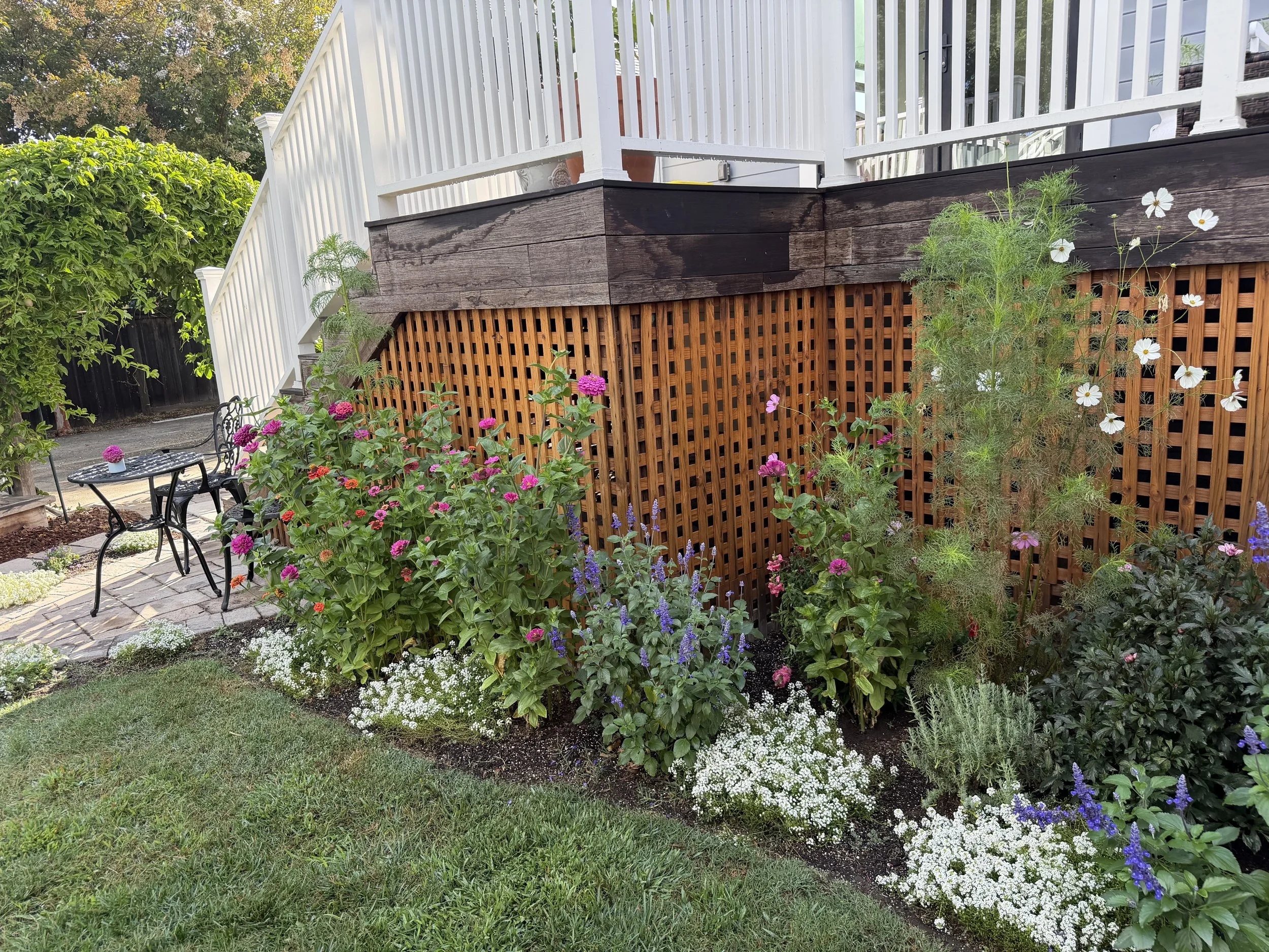 September cutting garden with zinnias, cosmos, salvia and white alyssum