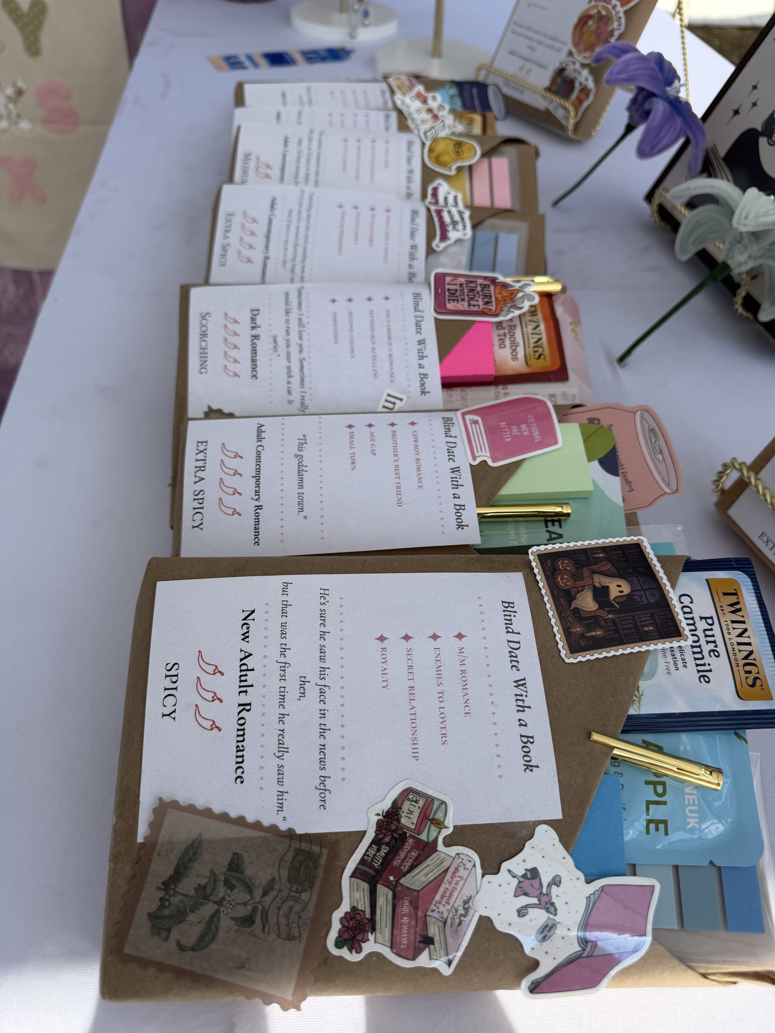 A display of Blind Dates With A Book