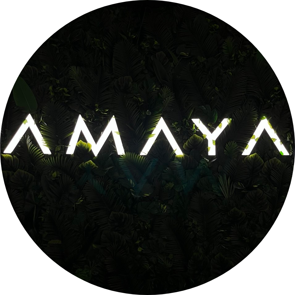  Matcha guide
