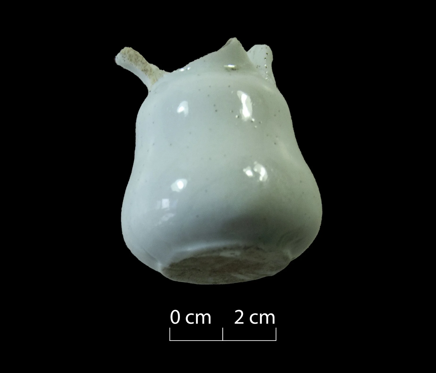 White porcelain jug from a child's tea set. Broken & incomplete.