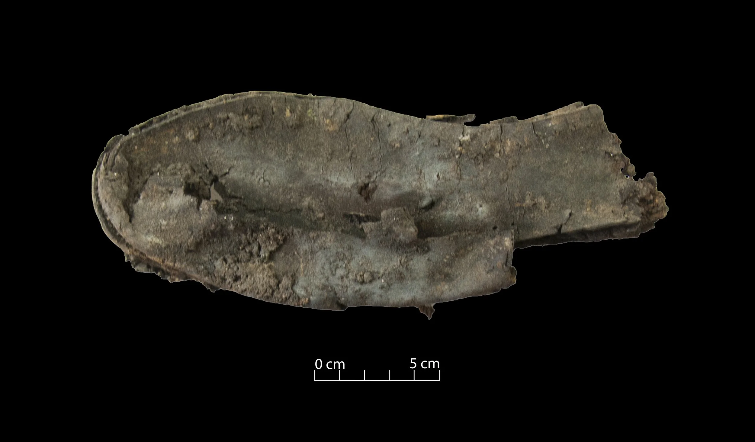 Part of the sole of a leather shoe. Heel not present.