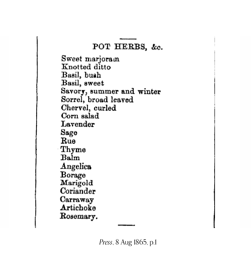 1865 newspaper advertisement from the Press, listing different types of 'pot herbs': marjoram, basil, savory, sorrel, chervil, corn salad, lavender, sage, rue, thyme, balm, angelica, borage, marigold, coriander, carraway, artichoke, rosemary.