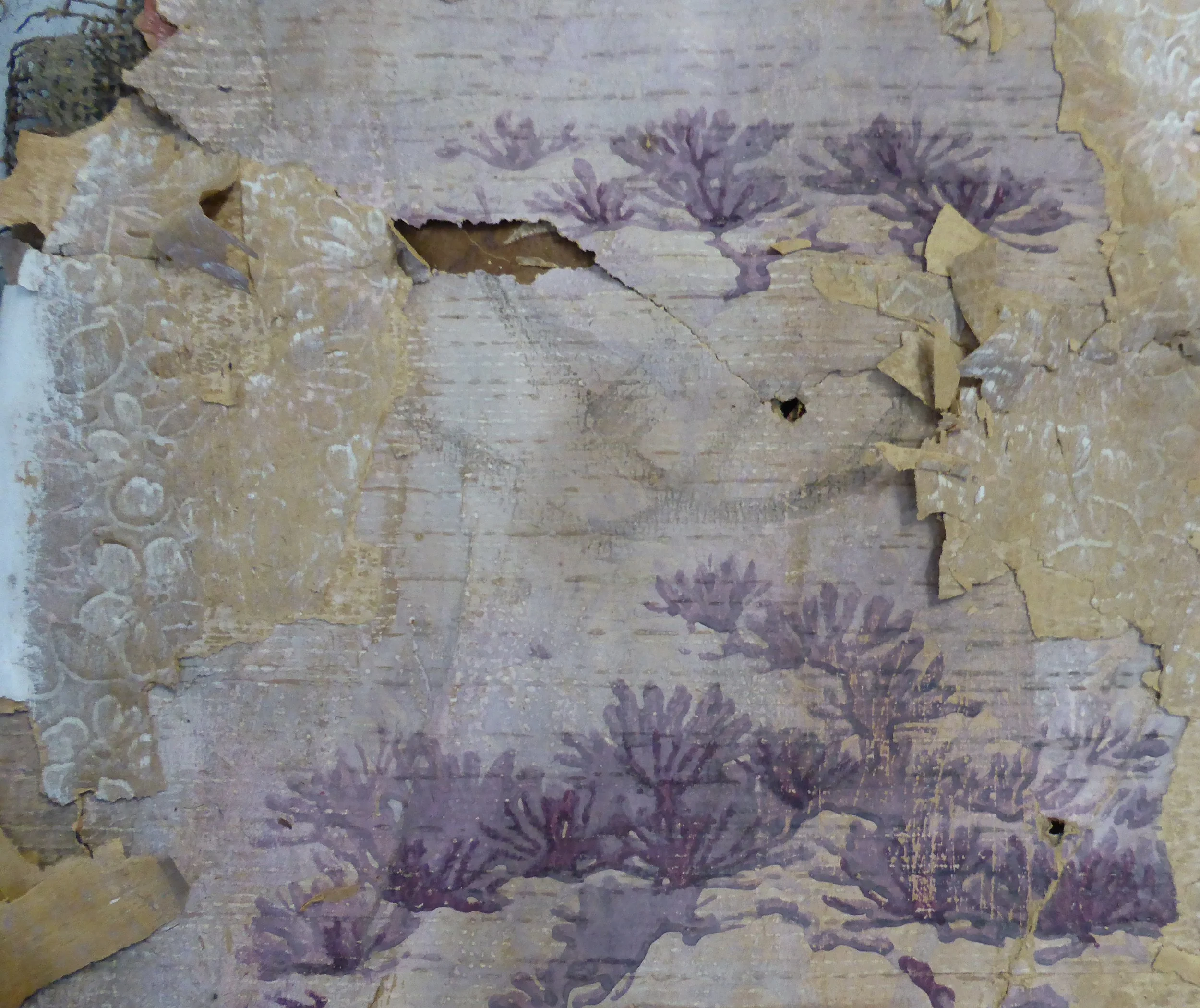 Wallpaper featuring stylised purple foliage, a bit like coral.