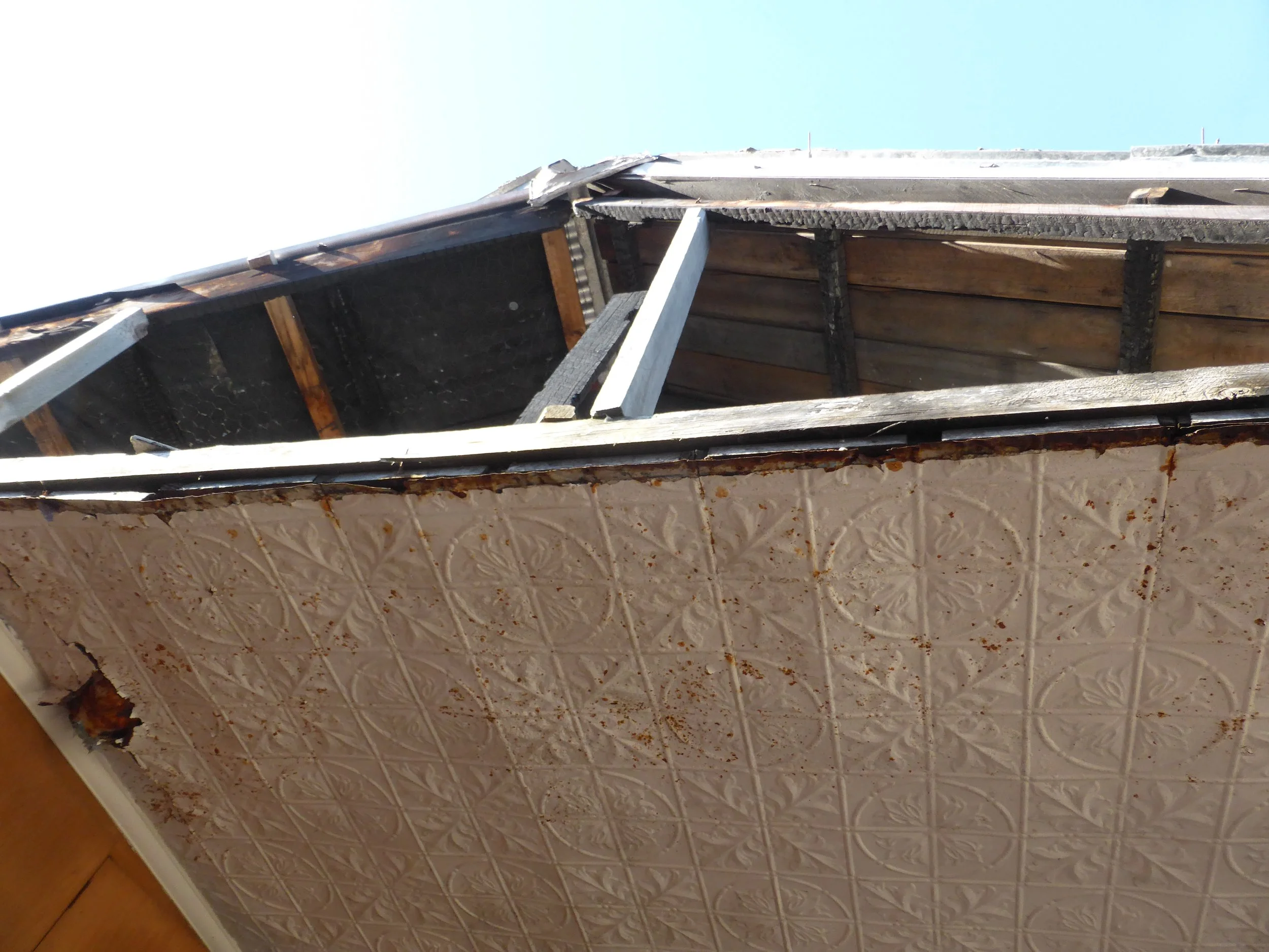 Detail of a pressed tin ceiling at 15 Willow Street.