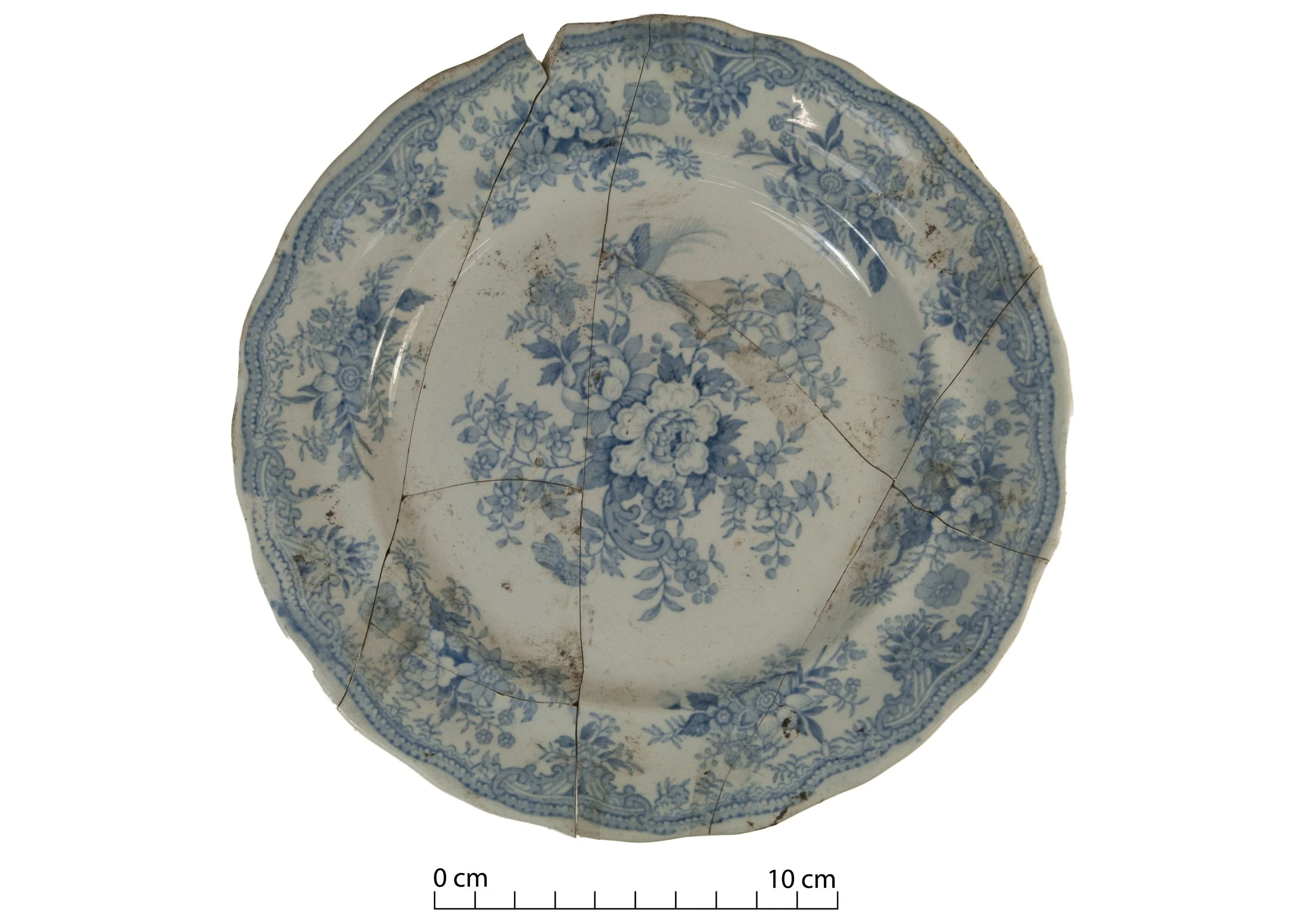 Asiatic Pheasants plate (broken but nearly complete), found at the Whitehead family's property.