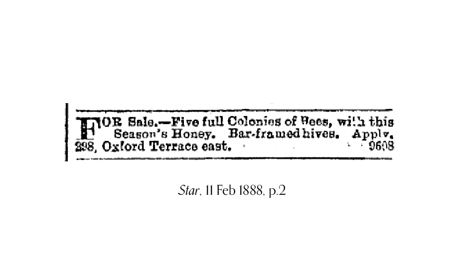 1888 newspaper advertisement for the sale of five colonies of bees, from 298 Oxford Terrace.
