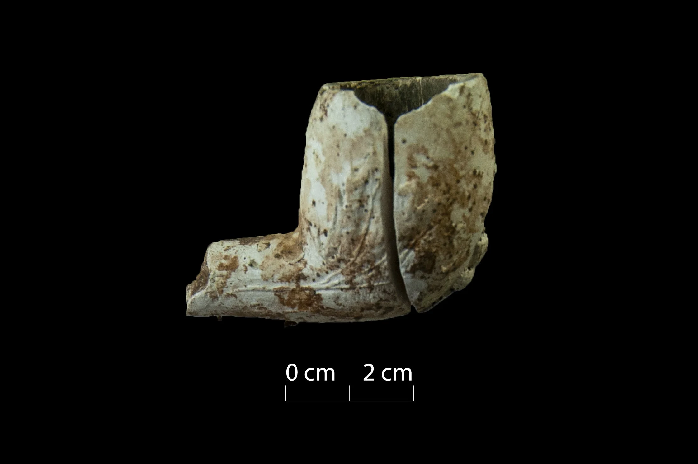 Bowl and part of the stem of a clay tobacco pipe, with Scotch thistle decoration. Broken and incomplete.