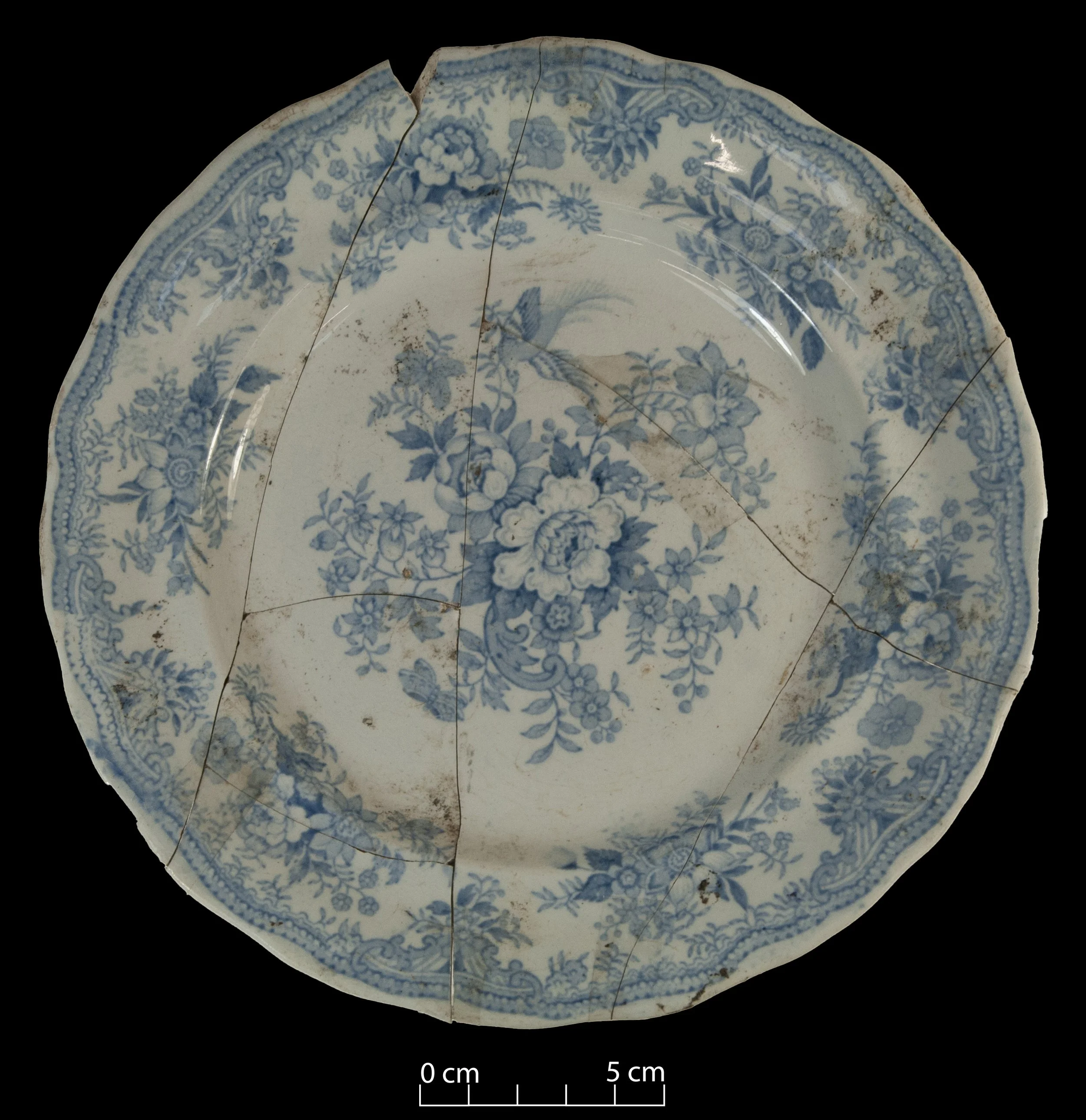Dinner plate decorated with the Asiatic Pheasants pattern (in blue). Broken, stuck back together, nearly complete.