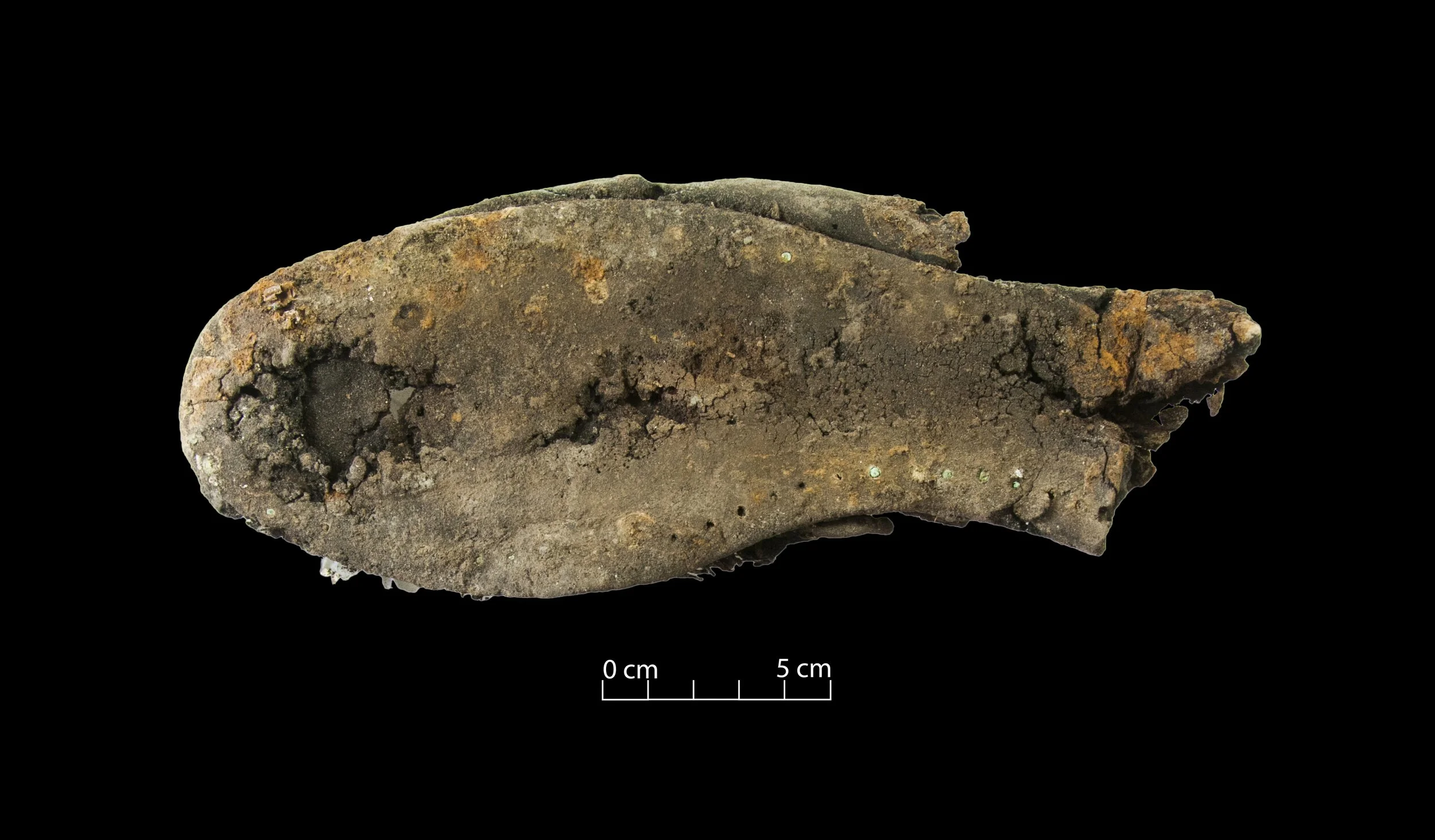 Part of the sole of a leather shoe. Heel not present.