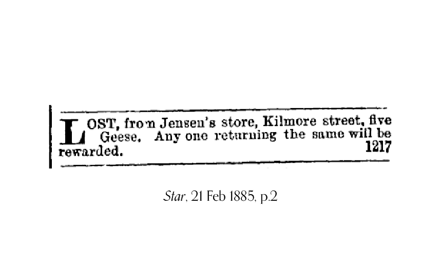 1885 newspaper advertisement advising that 5 geese had been lost from Jensen's store in Kilmore Street.