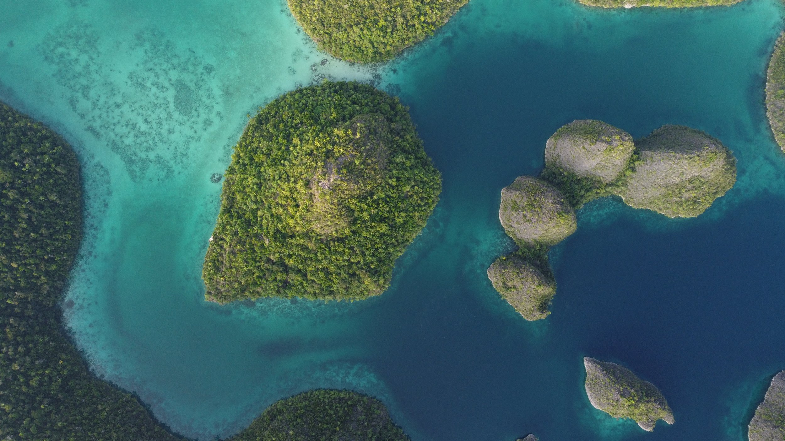 Raja Ampat One