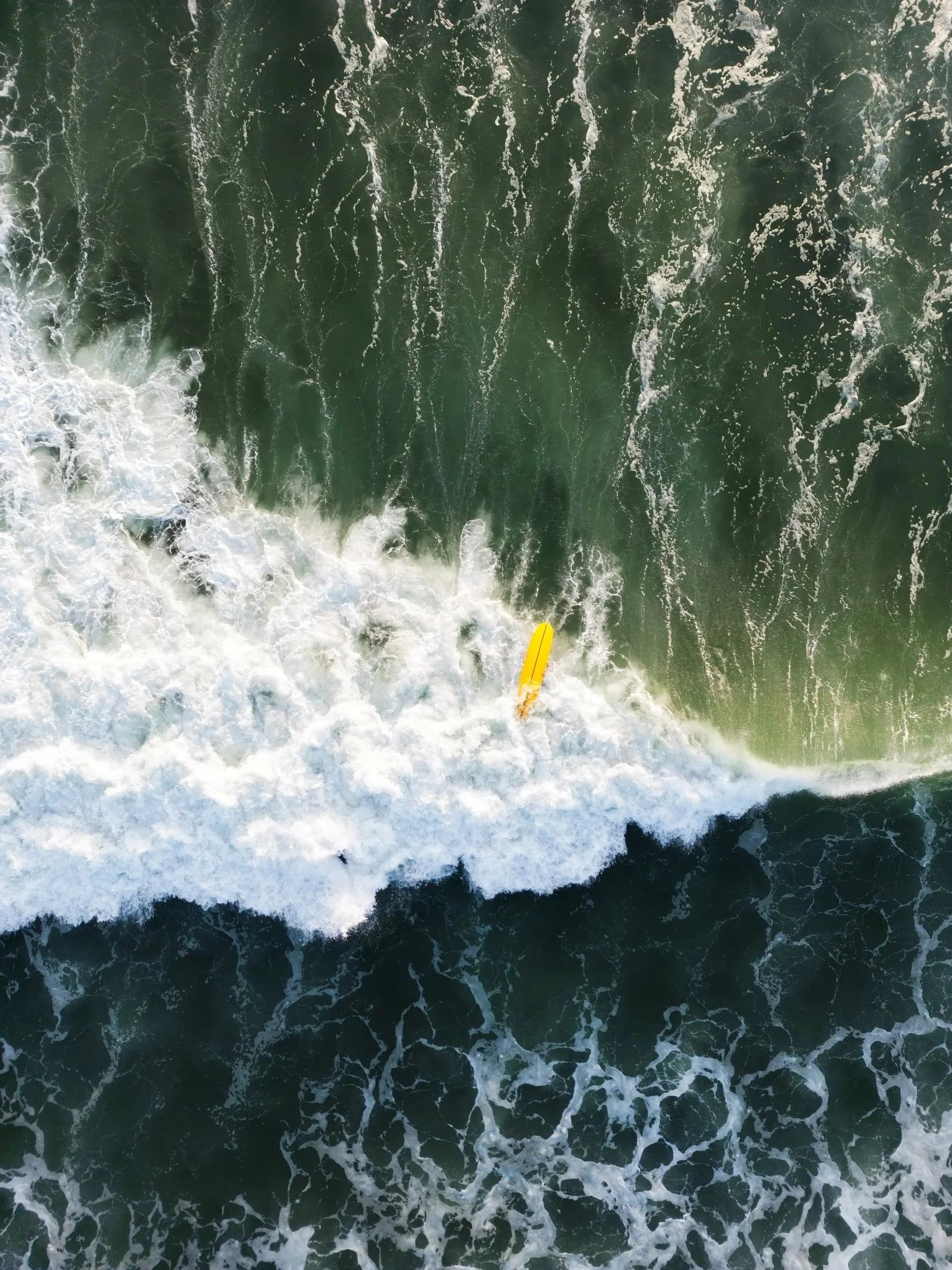 Surfer+One.jpg