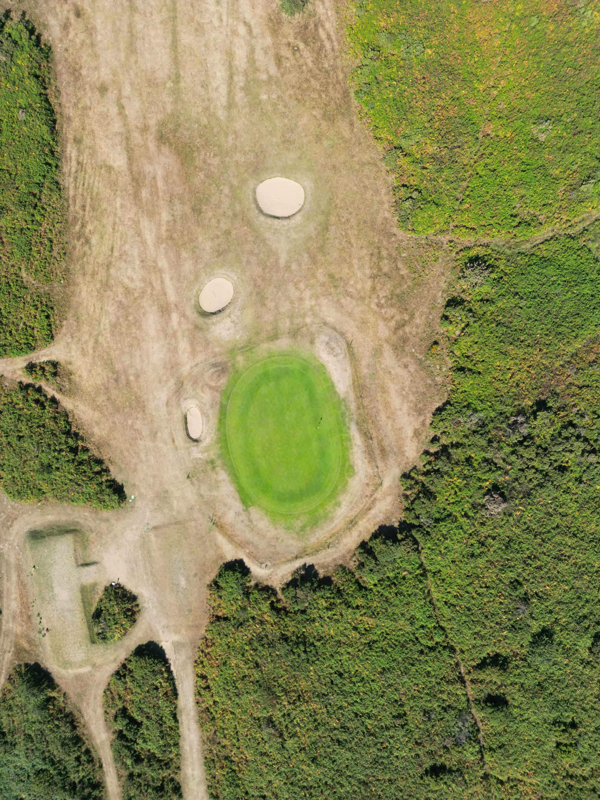 dji_fly_20260823_155042_116_1787484806928_photo.JPG