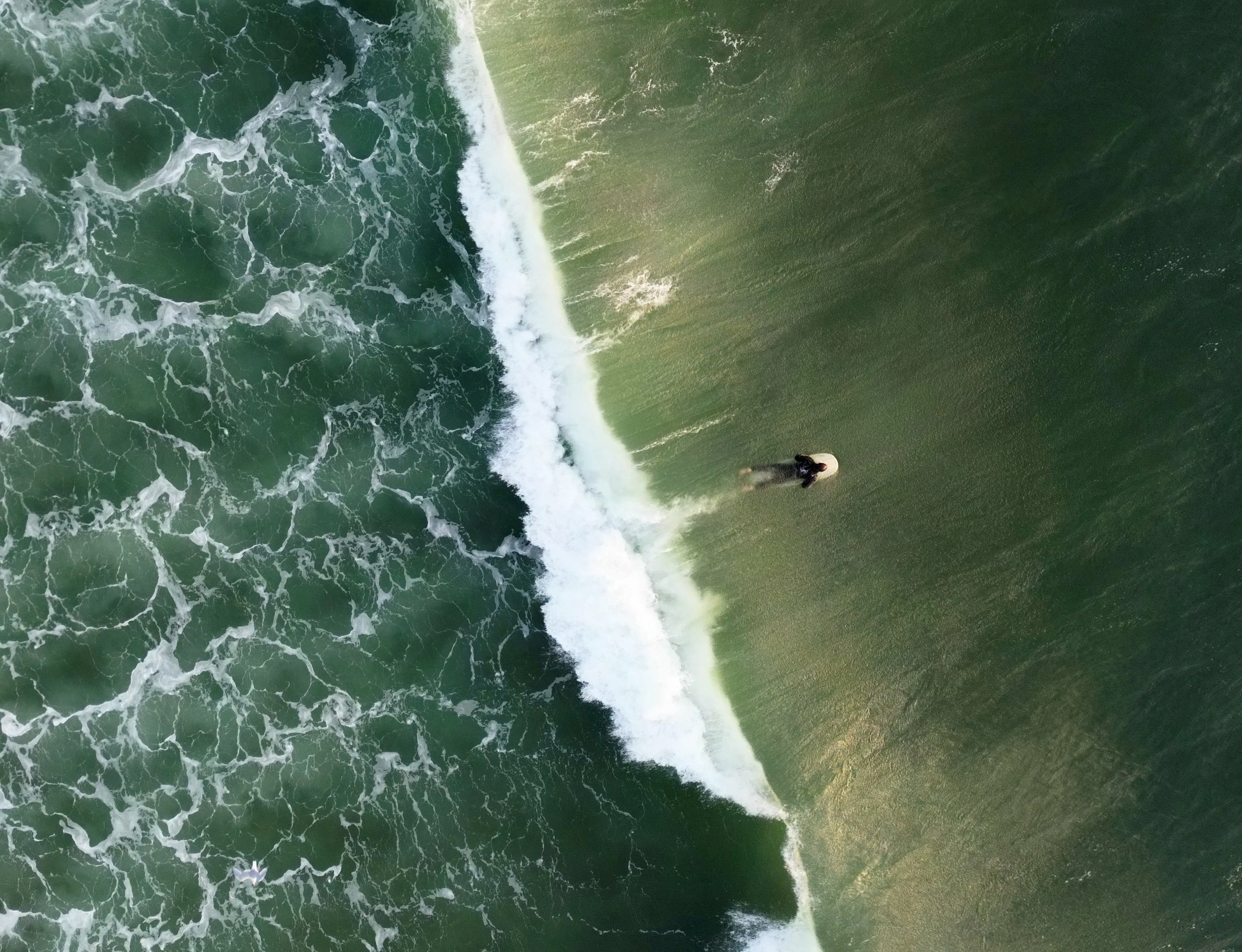 Surfer Five