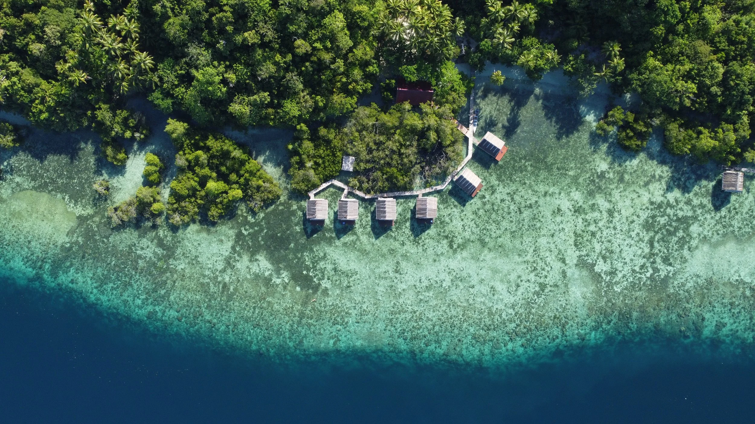 Raja Ampat Four