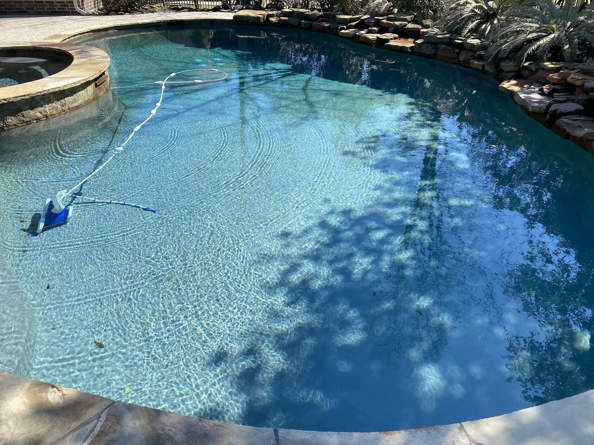 A backyard swimming pool with clear blue water, surrounded by a stone deck and a natural rock wall with plants and trees nearby.