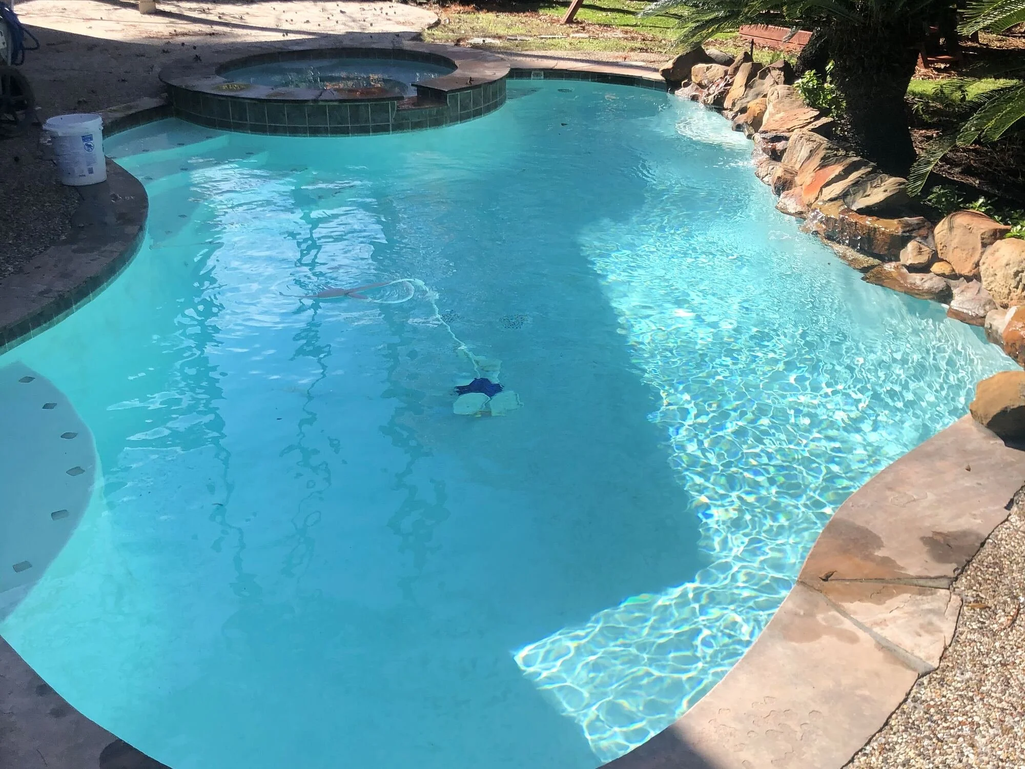 A backyard swimming pool with a hot tub at one end, surrounded by stone and tile borders, and lush green plants and trees around the edges.