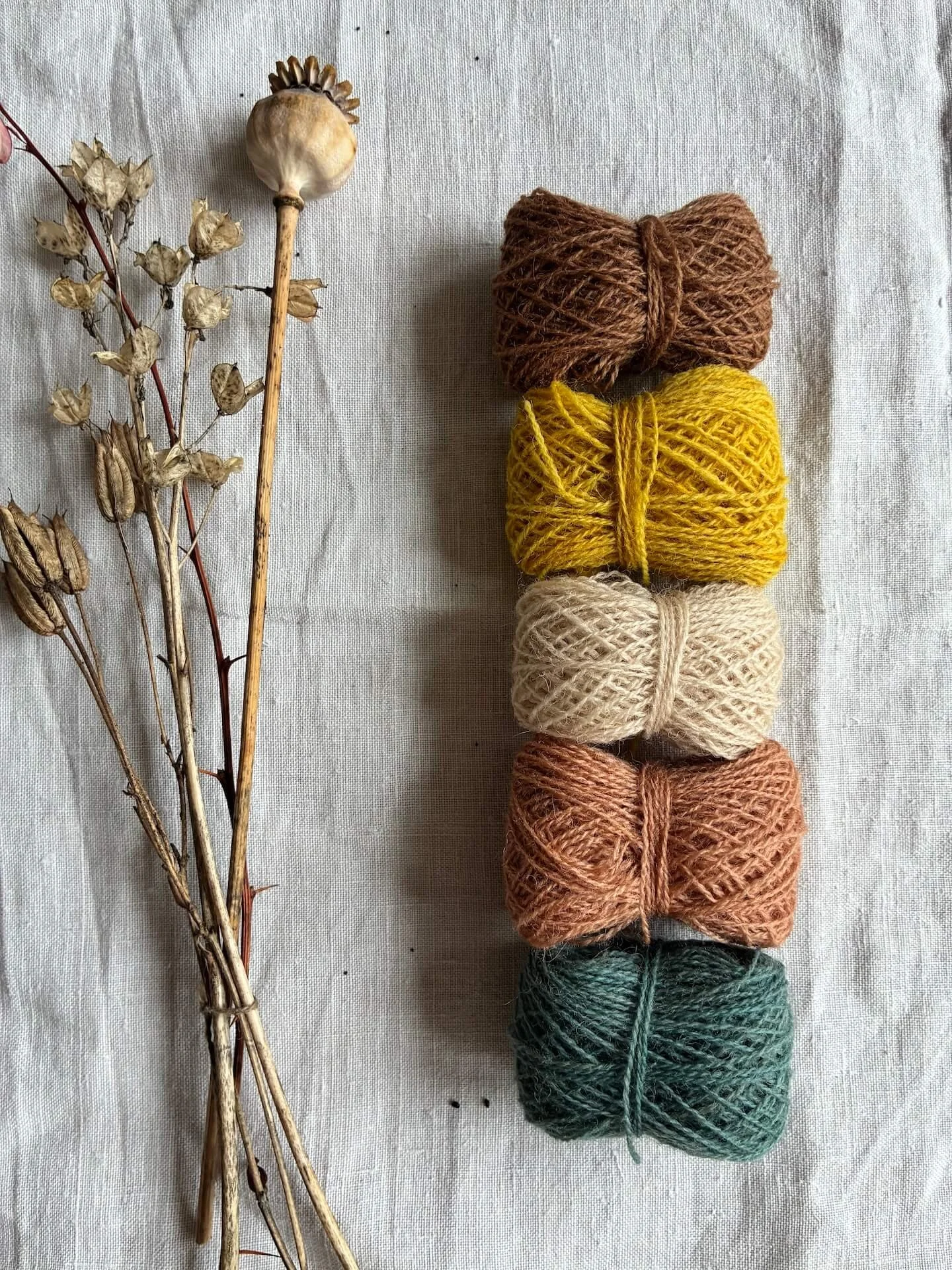 Appleton's Crewel Wool Sets