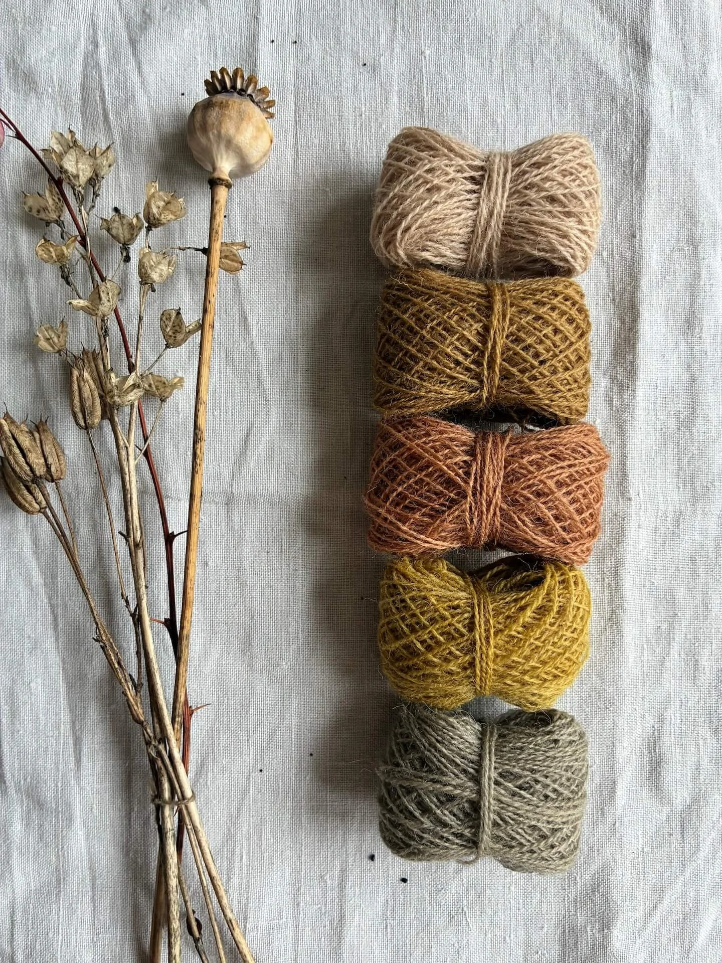 Appleton's Crewel Wool Sets