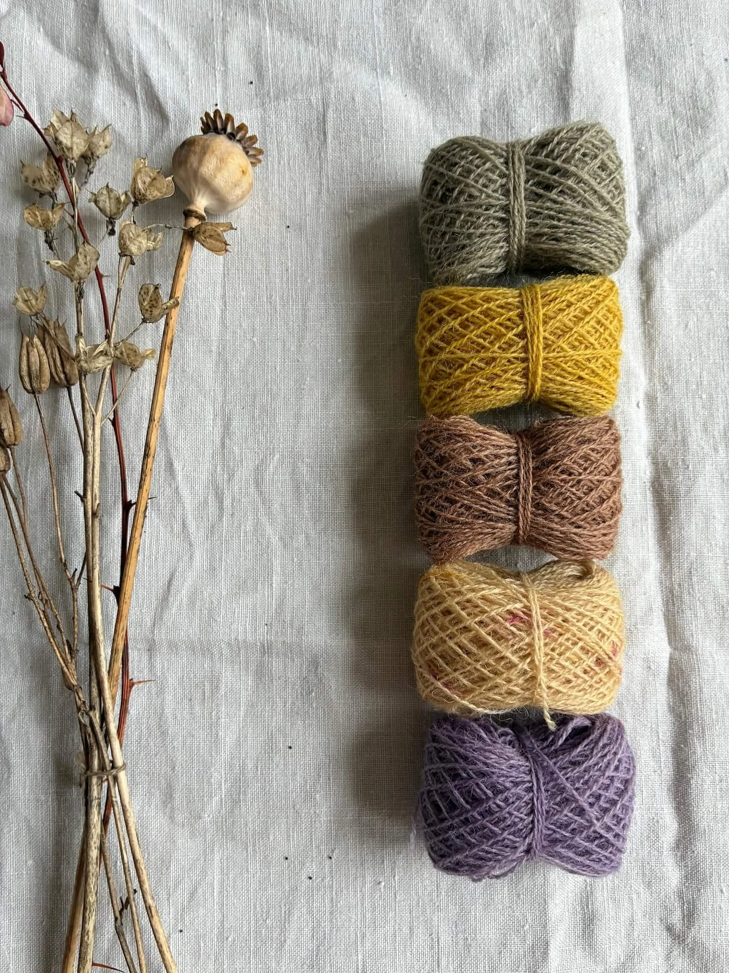Appleton's Crewel Wool Sets