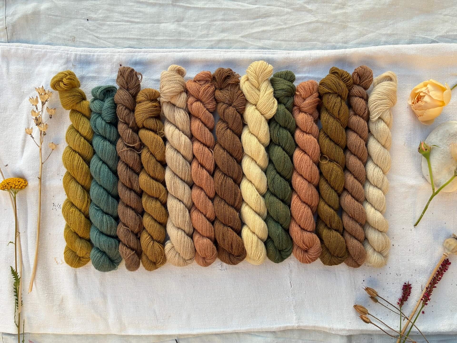 Multiple naturally dyed skeins of Appleton crewel wool dyed by hand in small batches using plants, roots, barks and mushrooms
