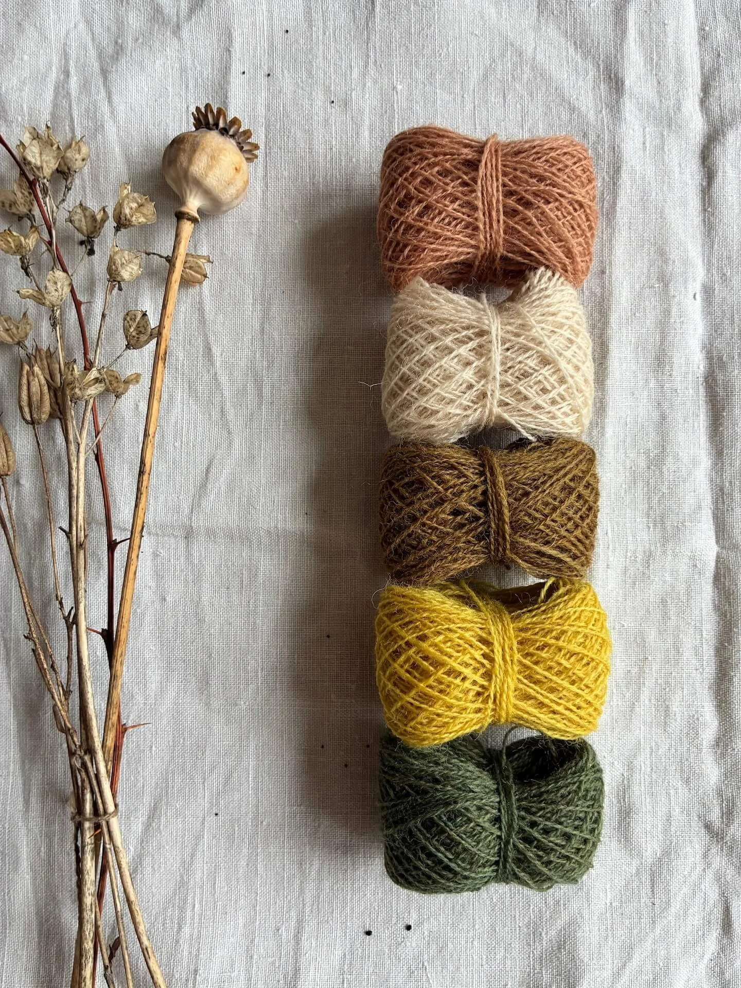 Appleton's Crewel Wool Sets