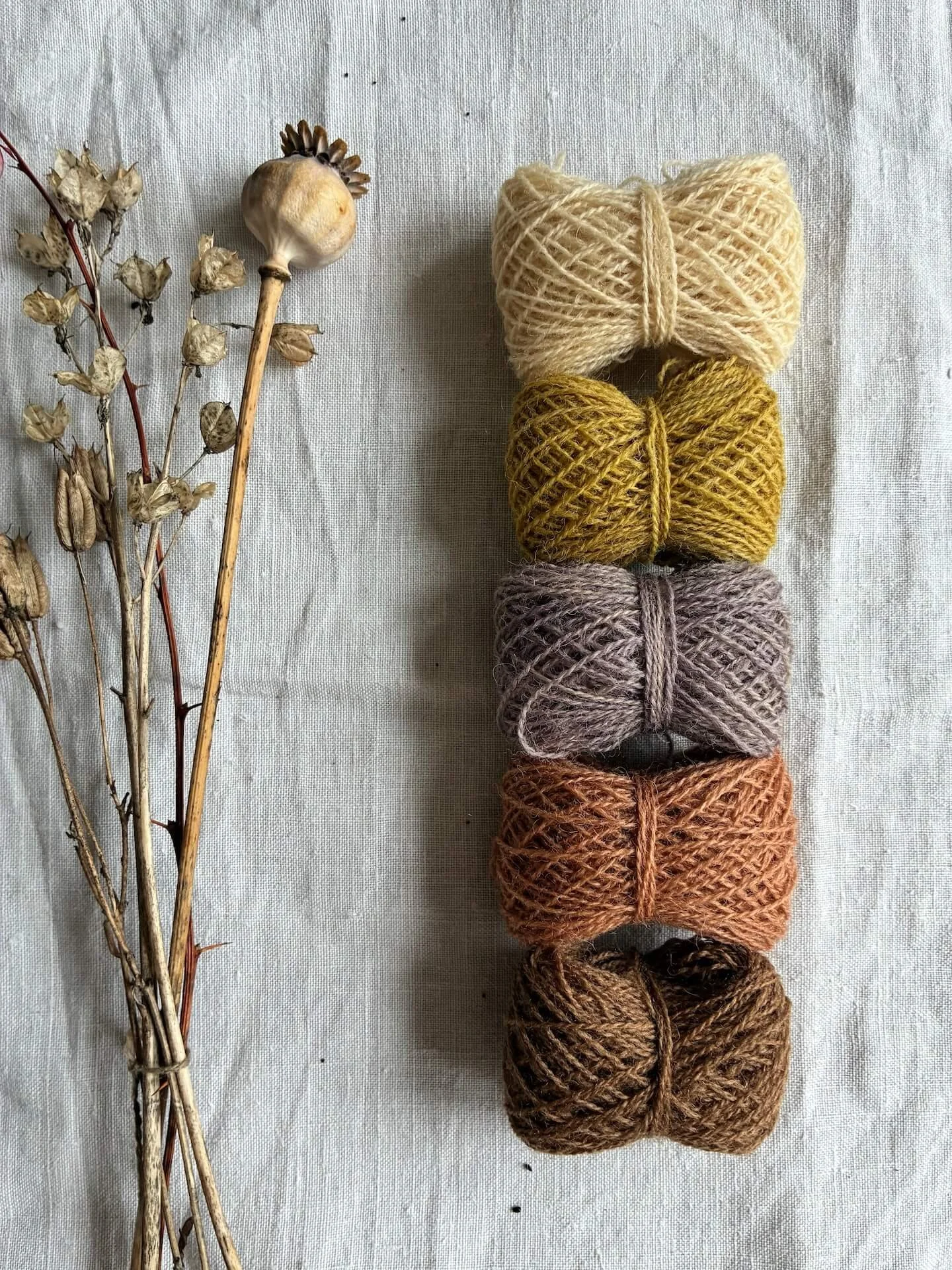 Appleton's Crewel Wool Sets