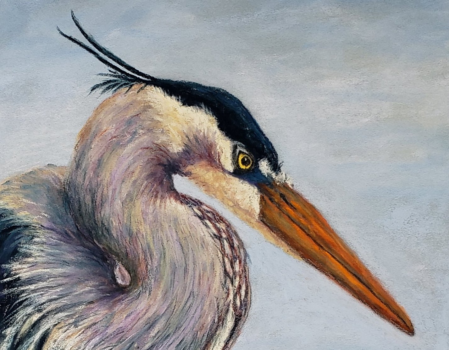 Blue Heron in Pastel - Crop.jpg