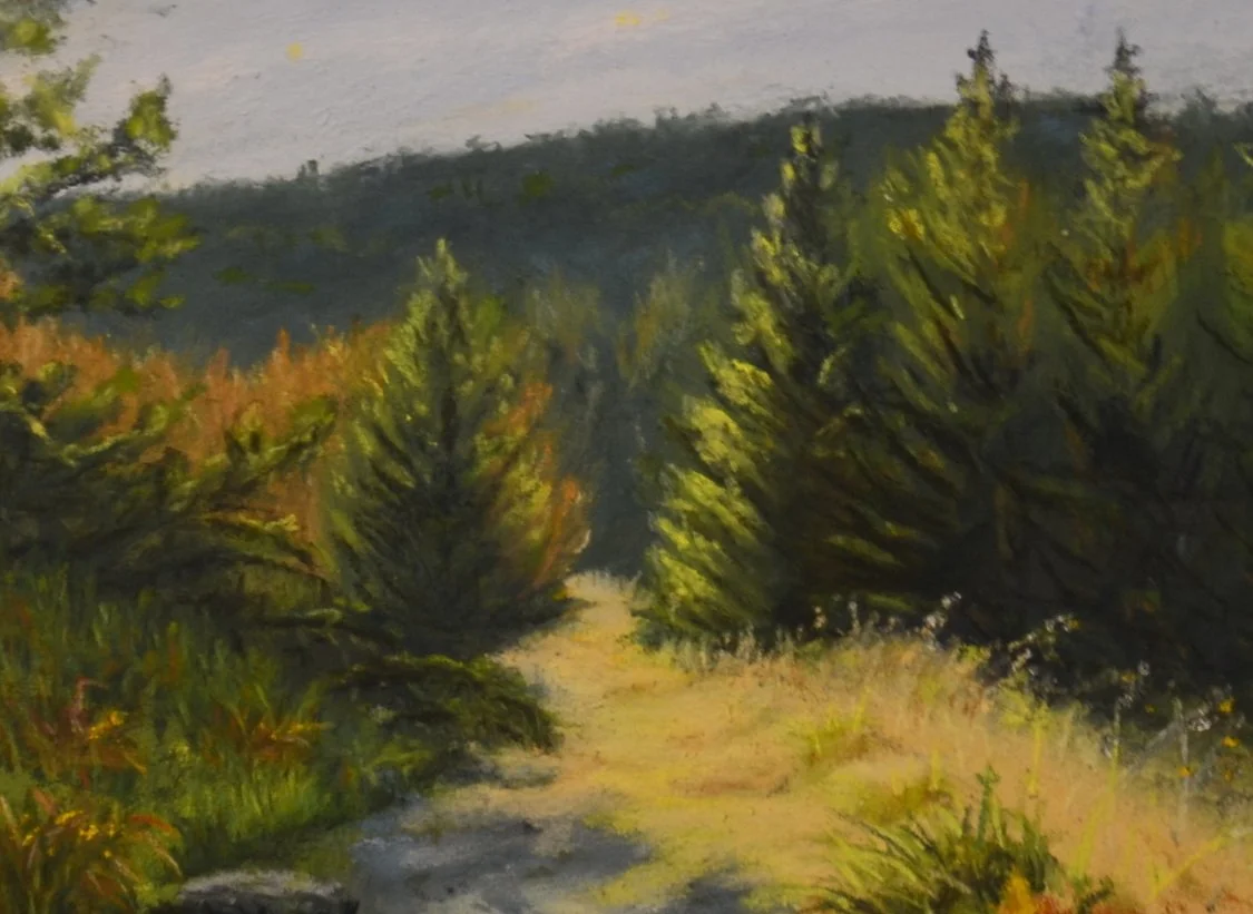 Morning Glow - Crop.JPG