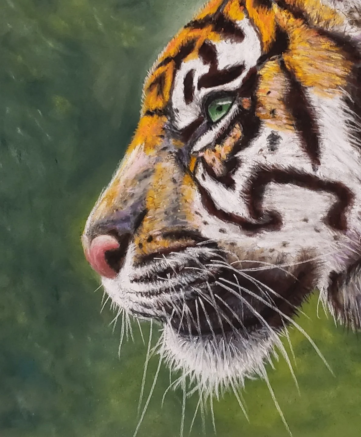 Tiger-Crop.jpg