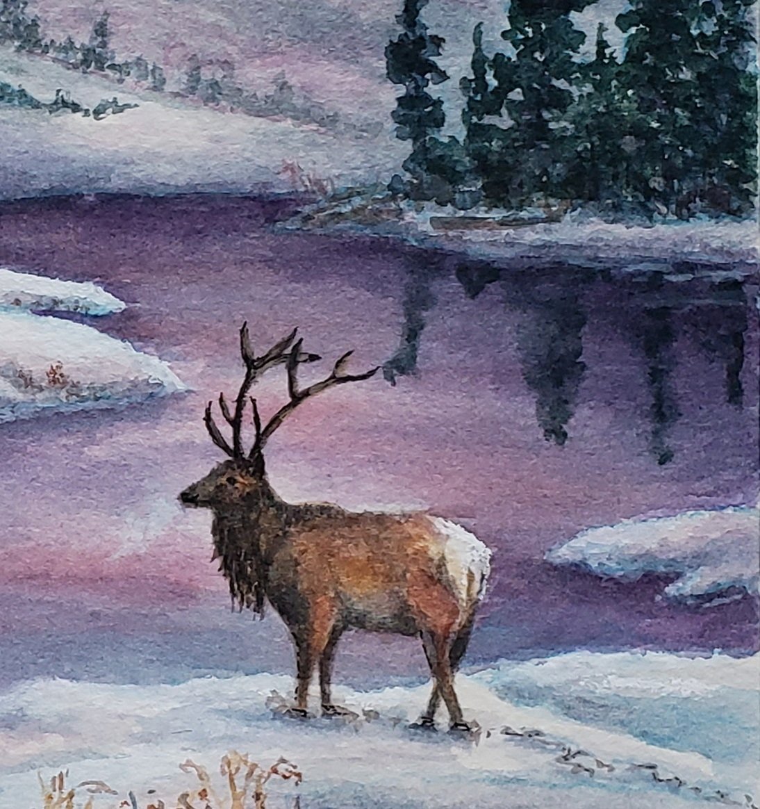 SnowyTrail of the Lone Elk - Crop.jpg