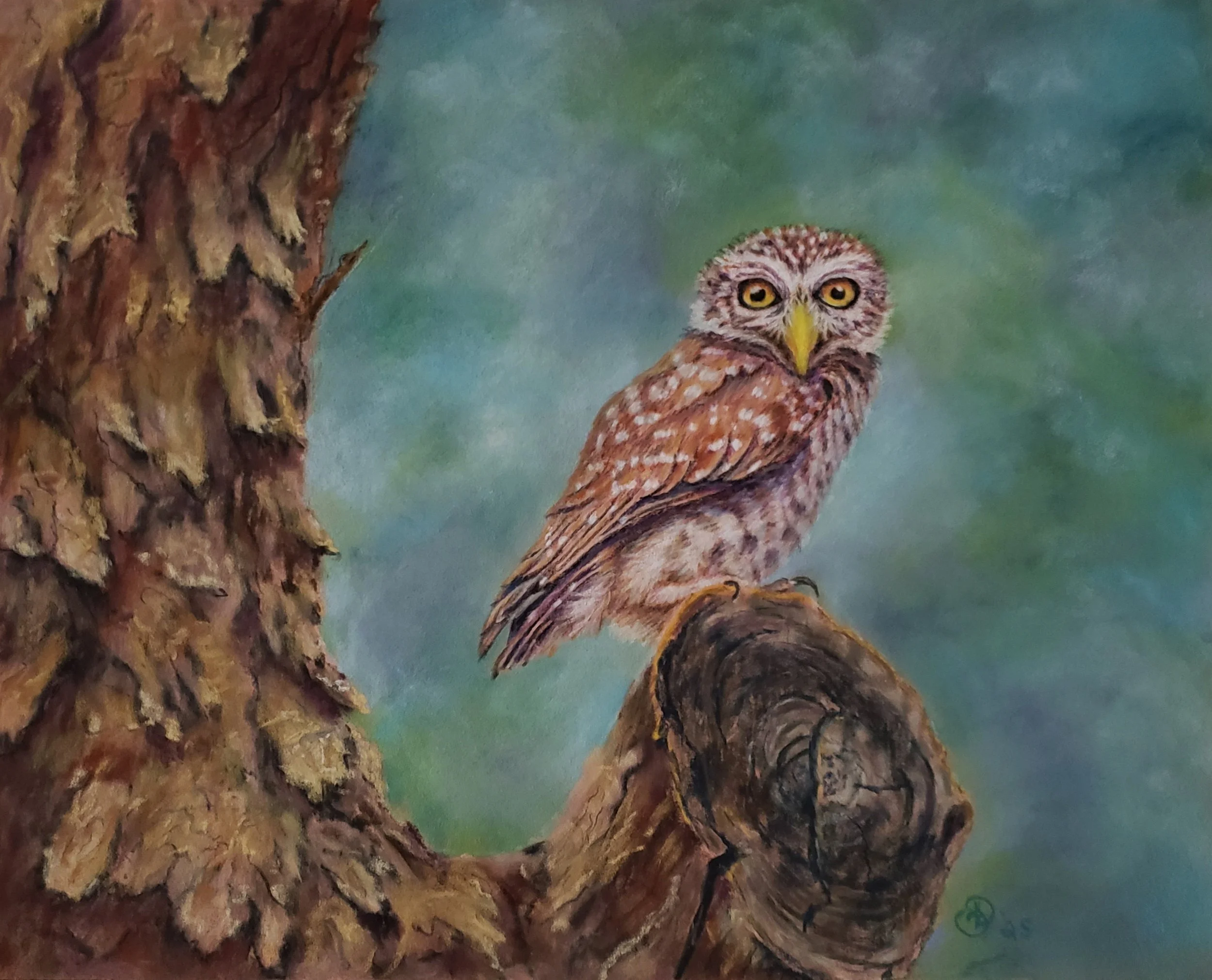 Owl's Cozy Gnarls