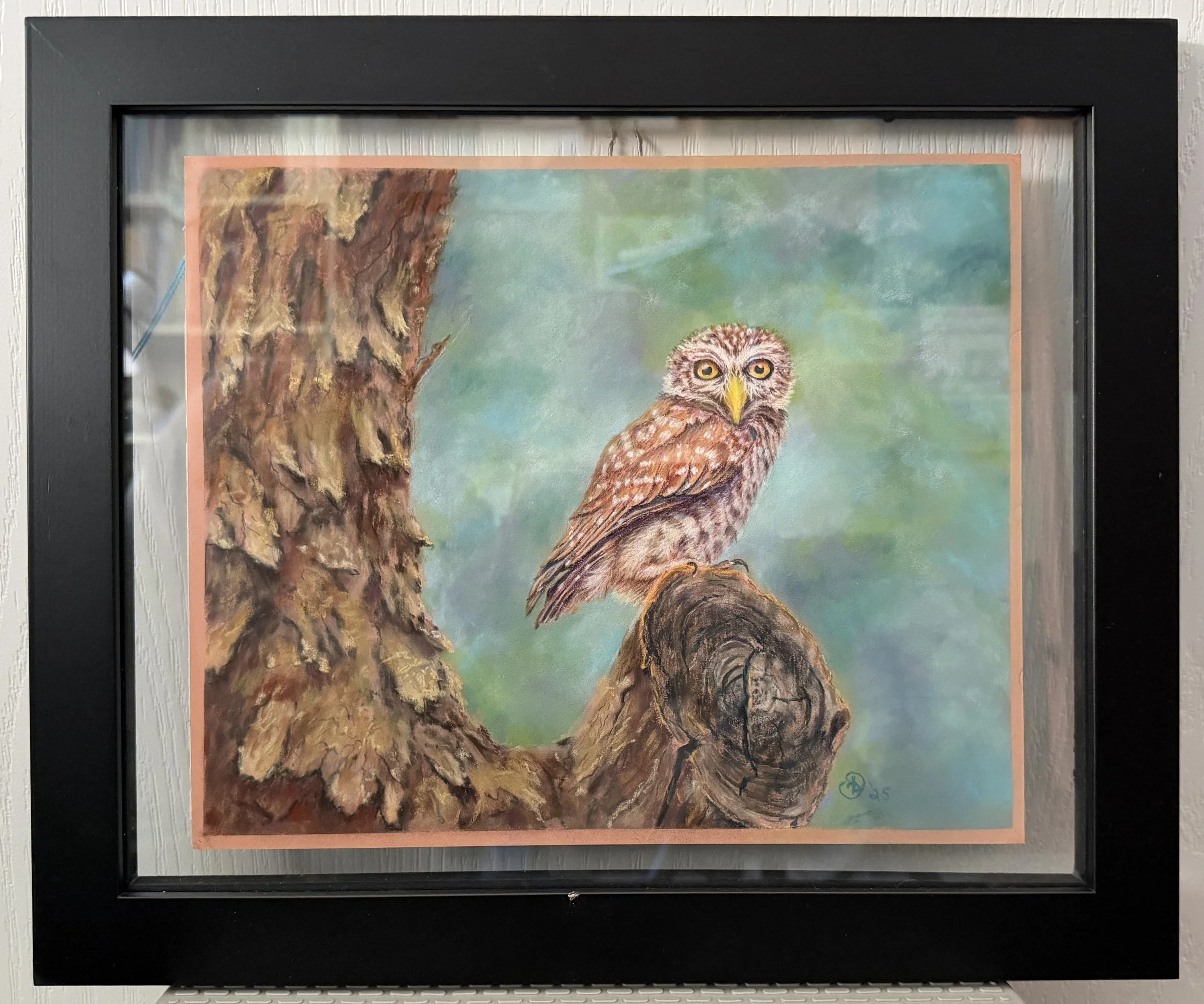 Owl's Cozy Gnarls - Framed 2500.jpg