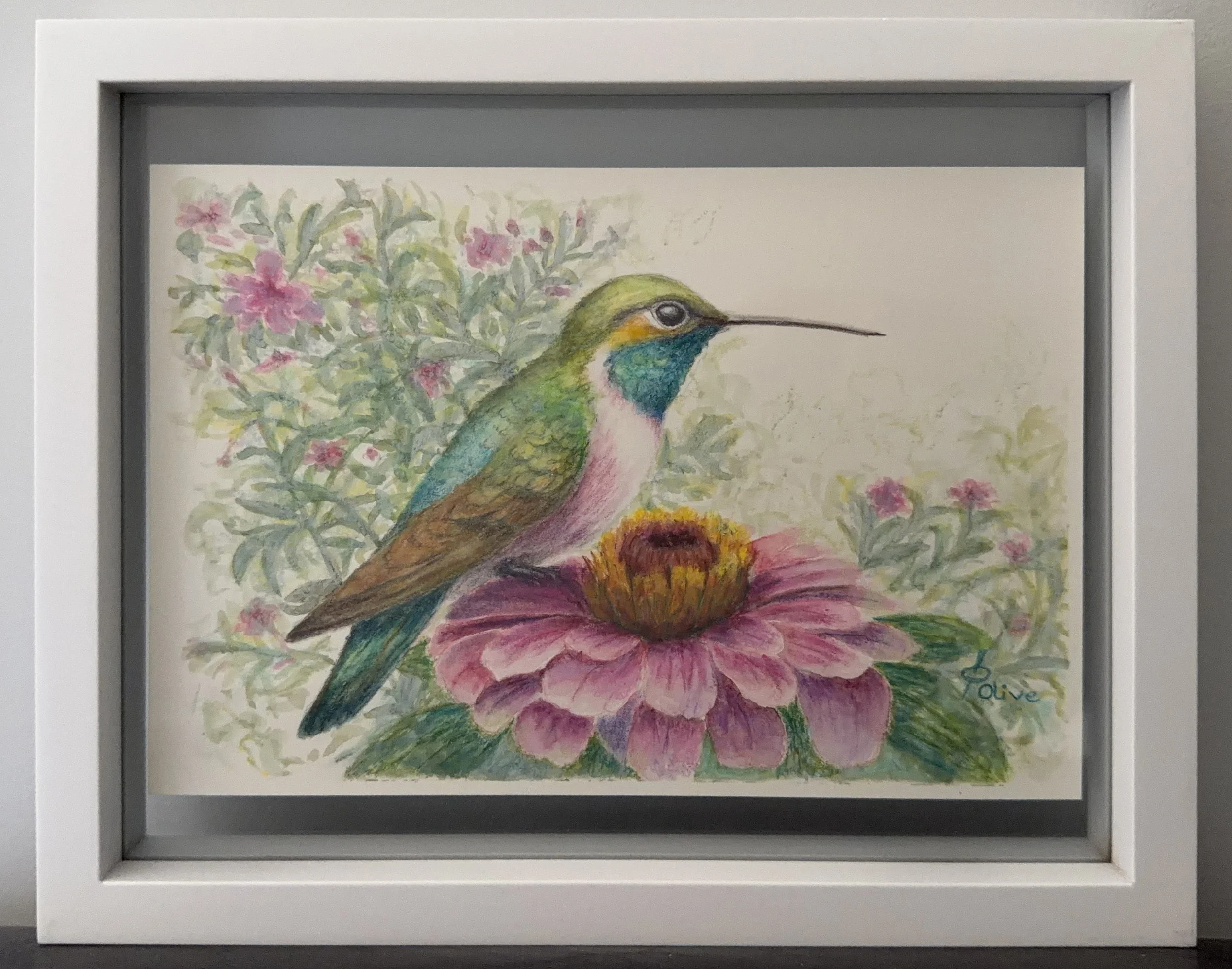 Blossom Visitor - Framed 2500.JPG