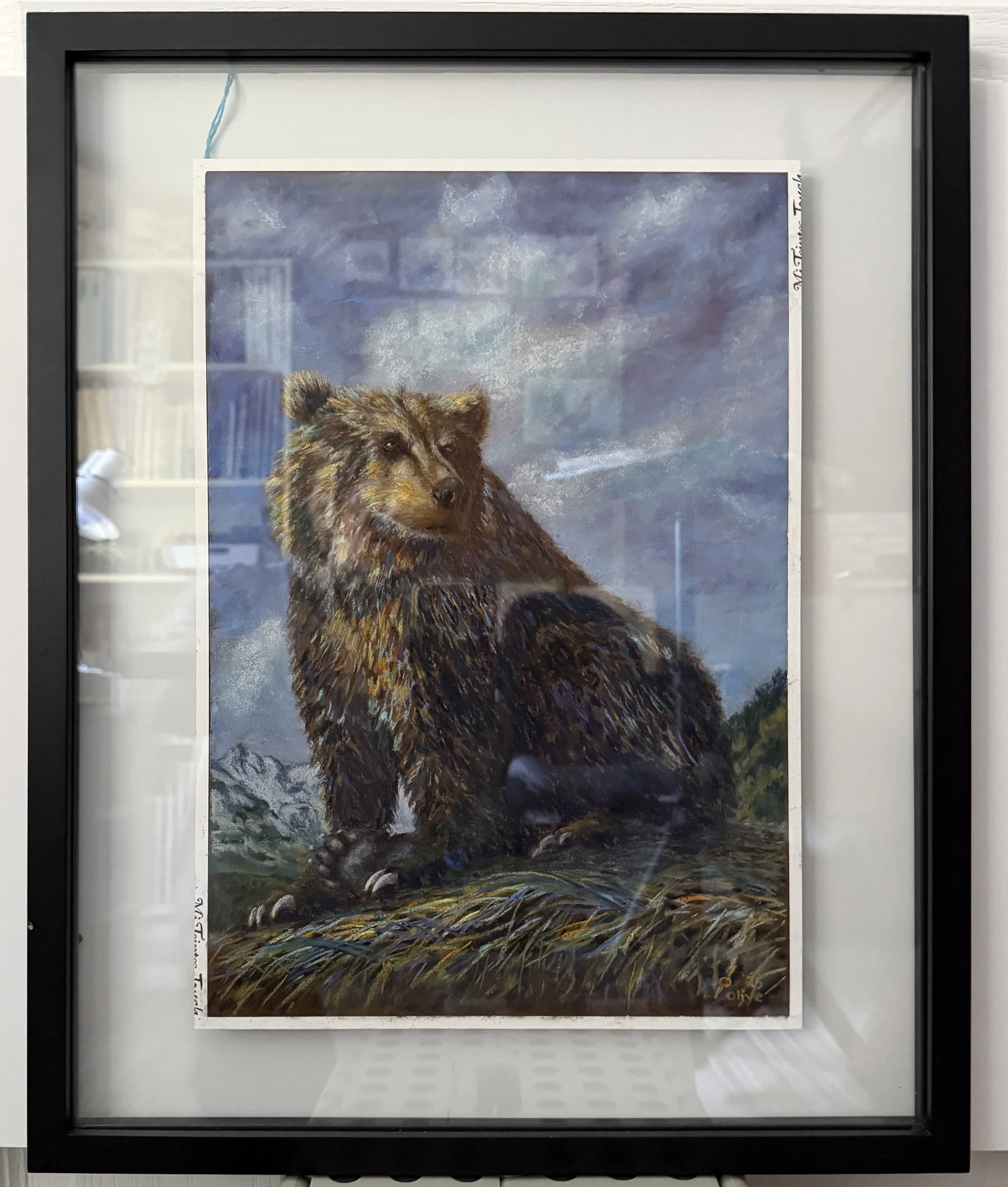 Grizzly's Gentle Pause - Framed 2500.jpg