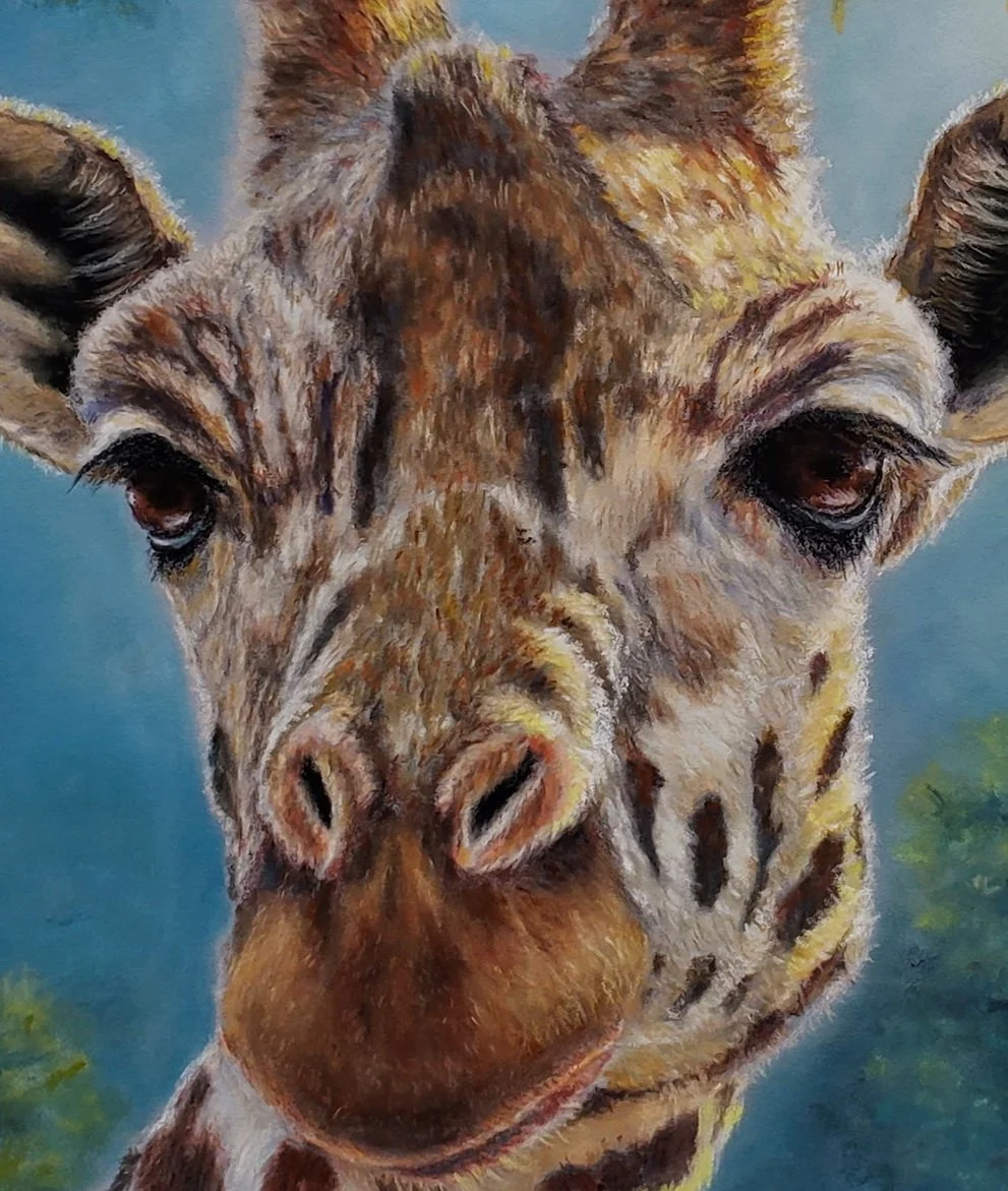 Giraffe-Meet-Me-In-Canopy-Crop.jpg