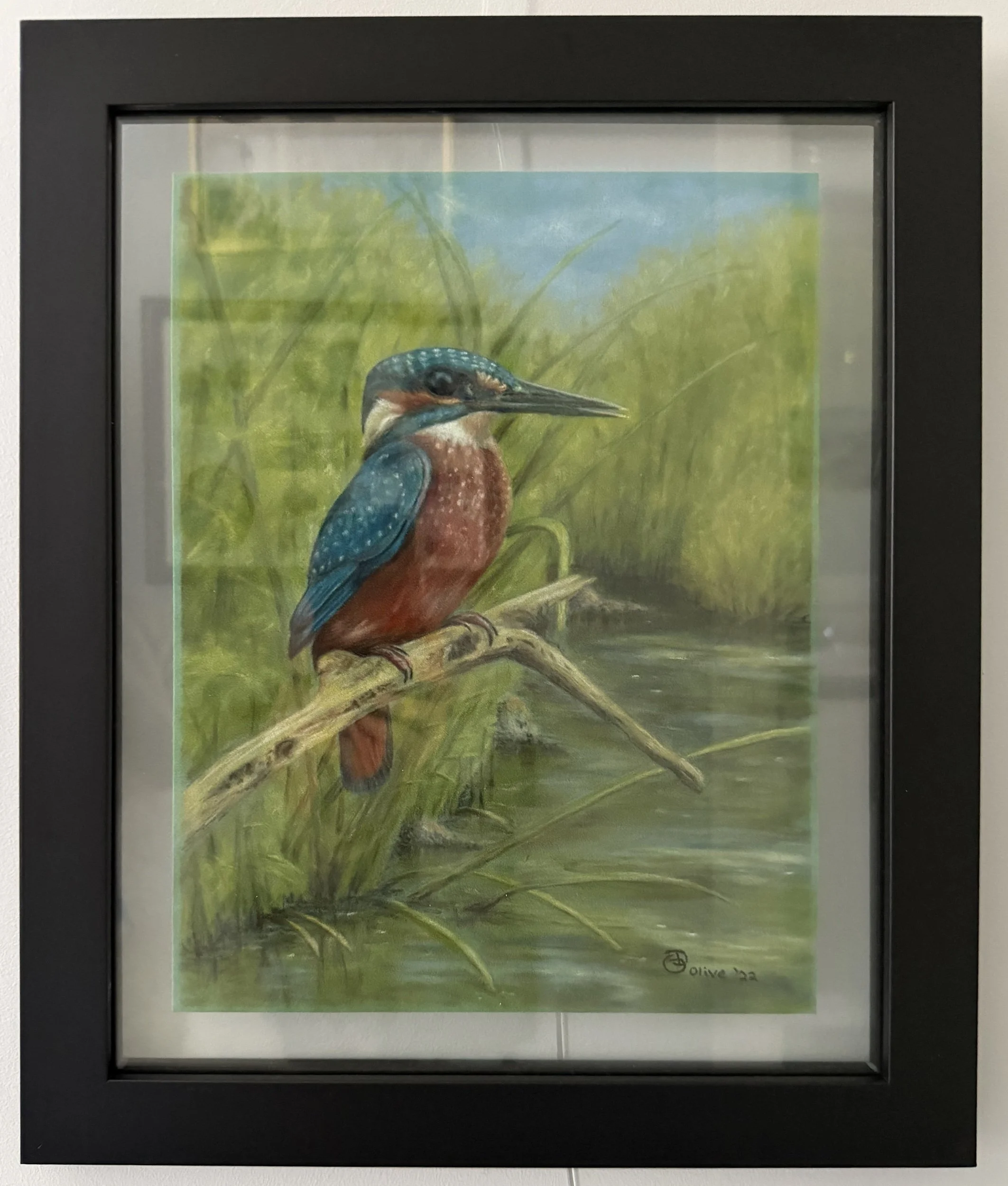 Kingfisher - Framed 2500.jpg