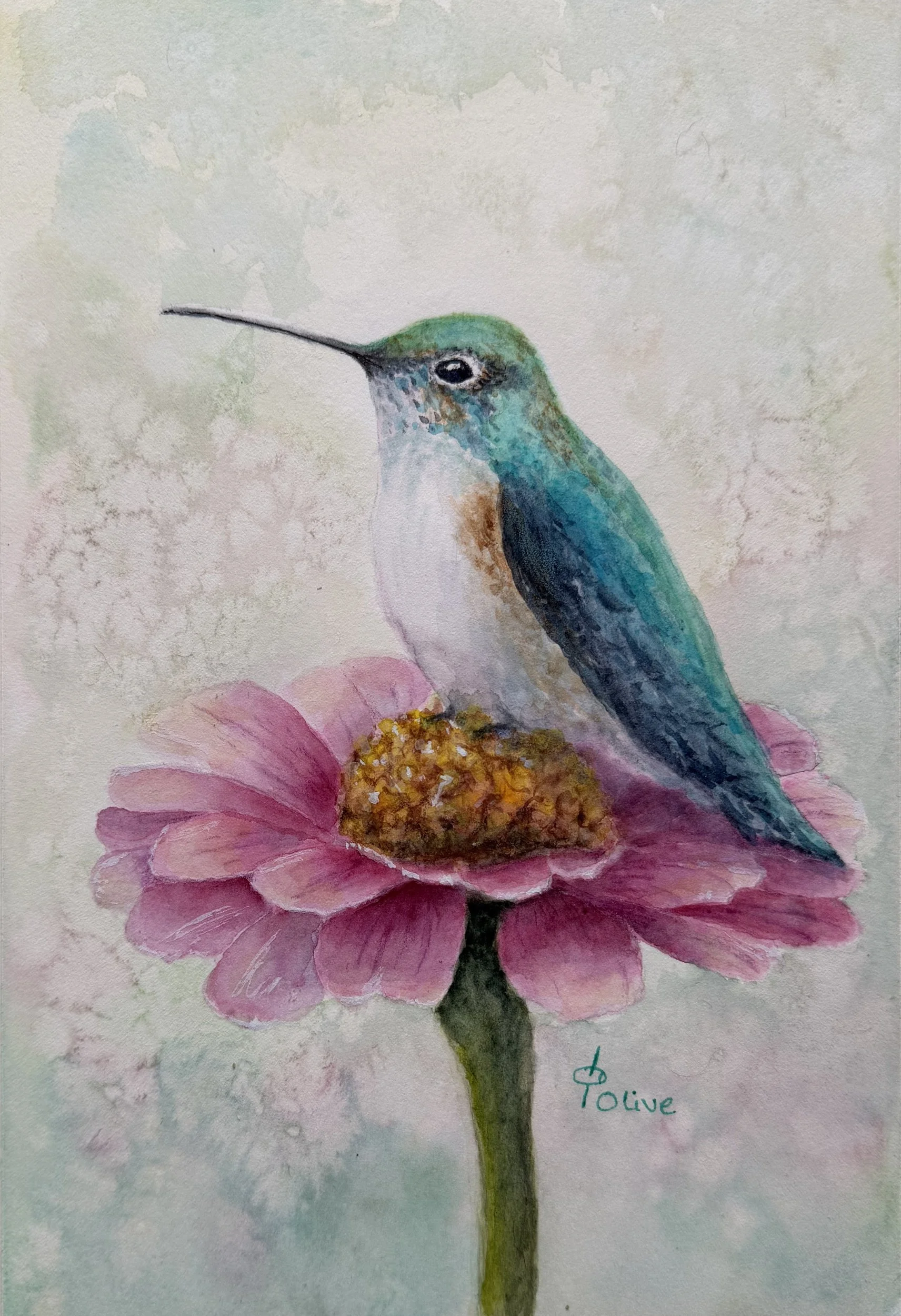 Quiet Perch