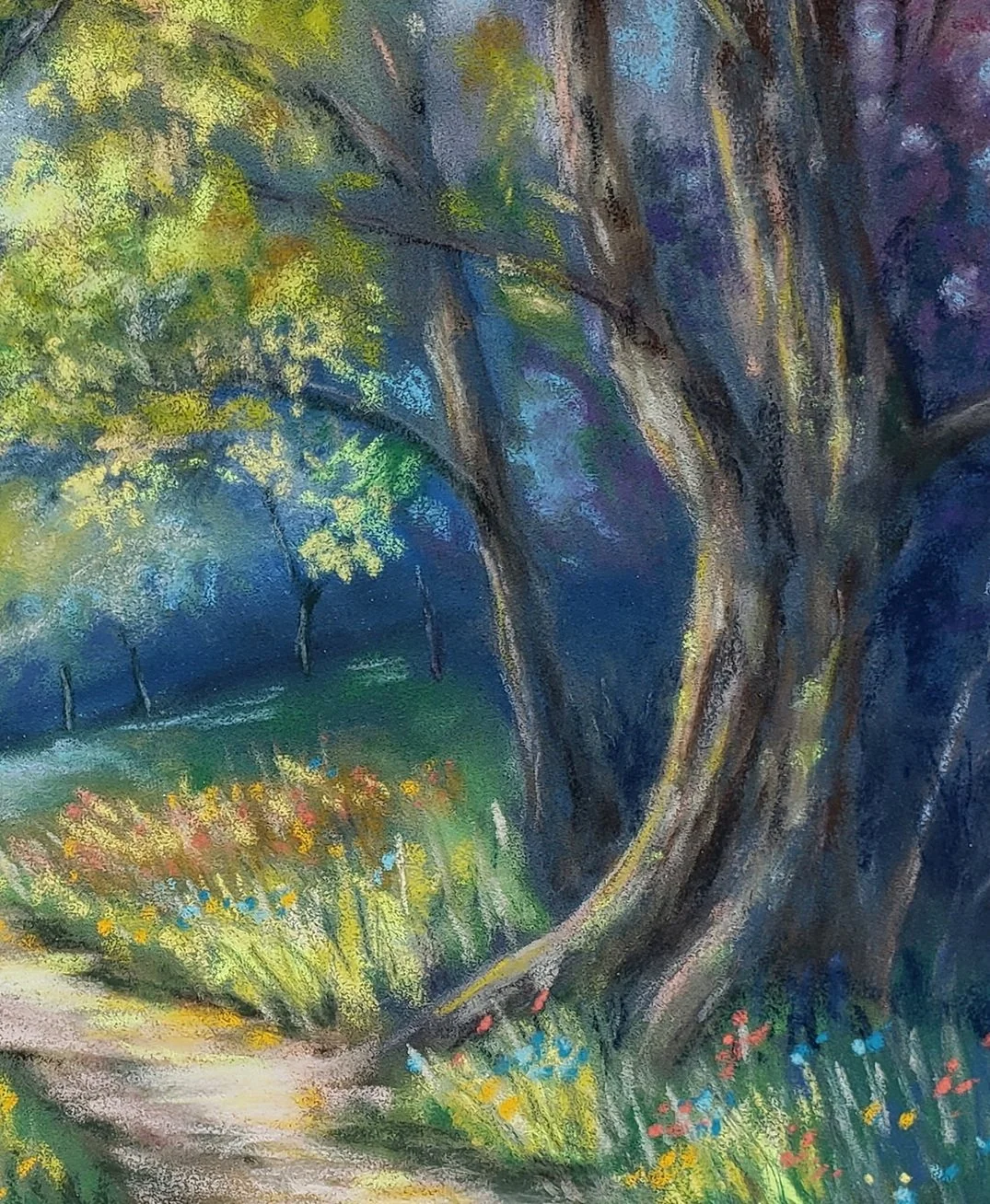 Forest-Sunshine-Crop.jpg