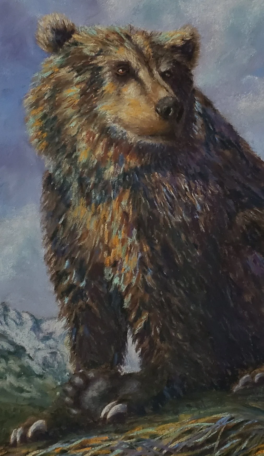 Grizzlys Gentle Pause - Crop.jpg