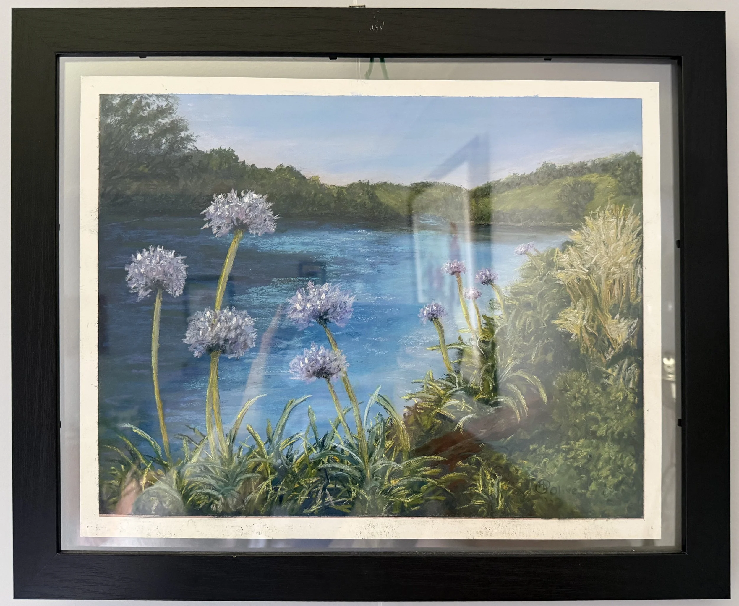 Apaganthus Lake - 2500.jpg