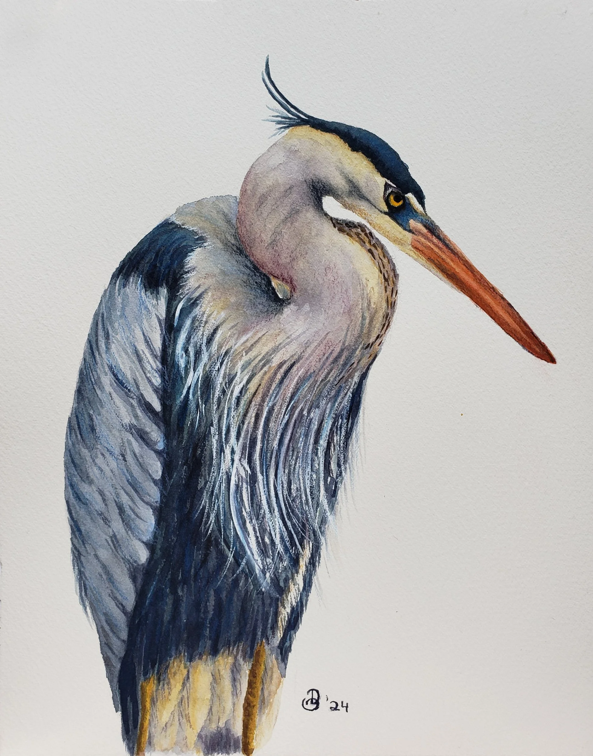 Blue Heron in Watercolor